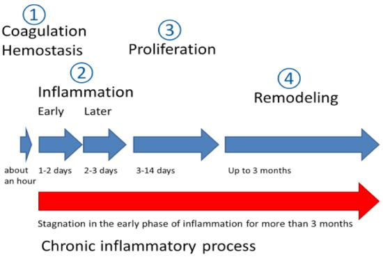 PDF) SURGICAL DRESSINGS: CURRENT TRENDS AND FUTURE PROSPECTS