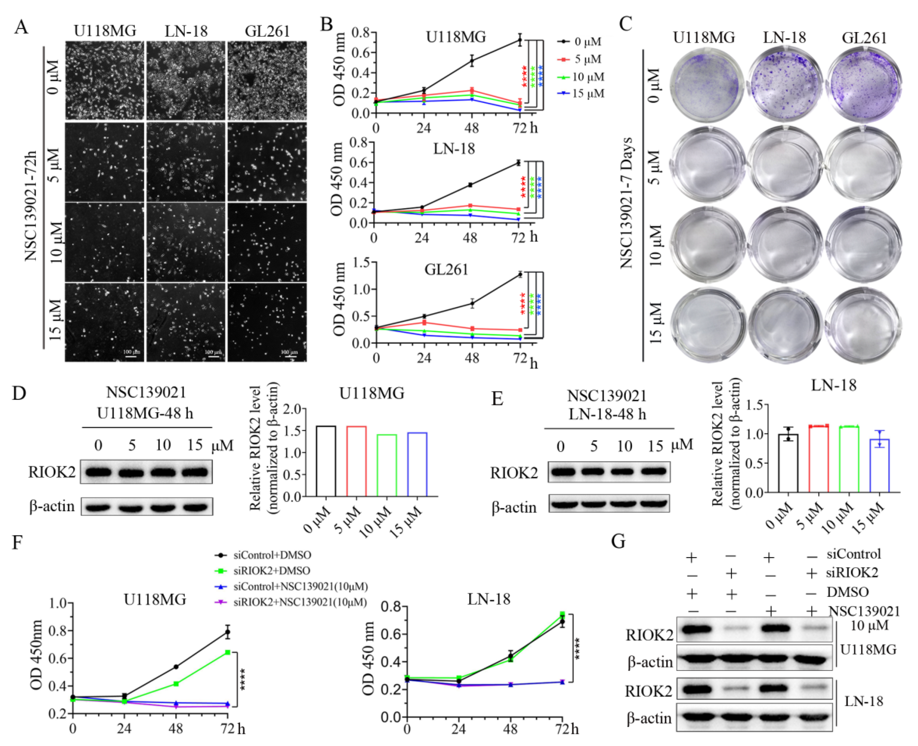 Biomedicines 09 01244 g001