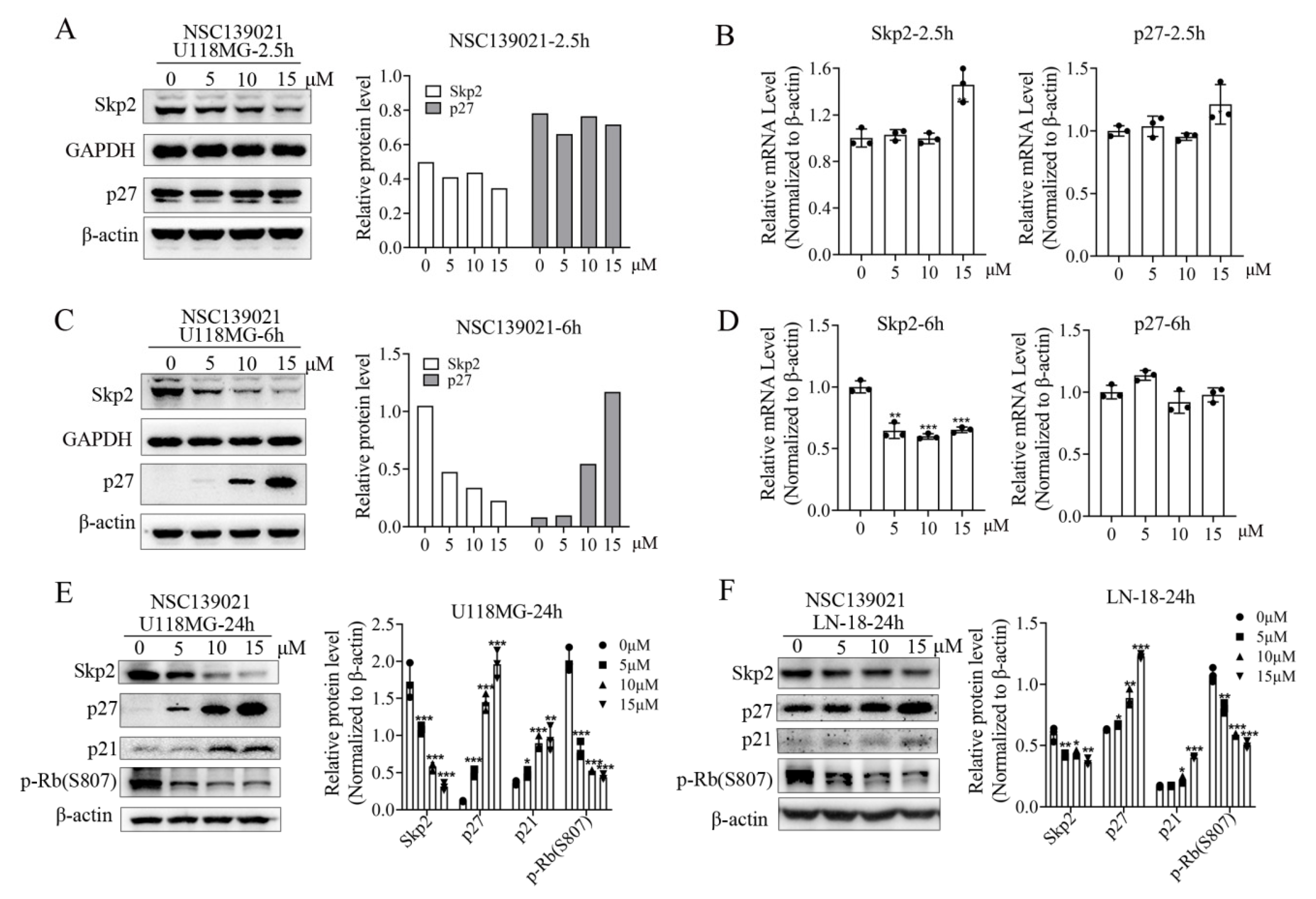 Biomedicines 09 01244 g003