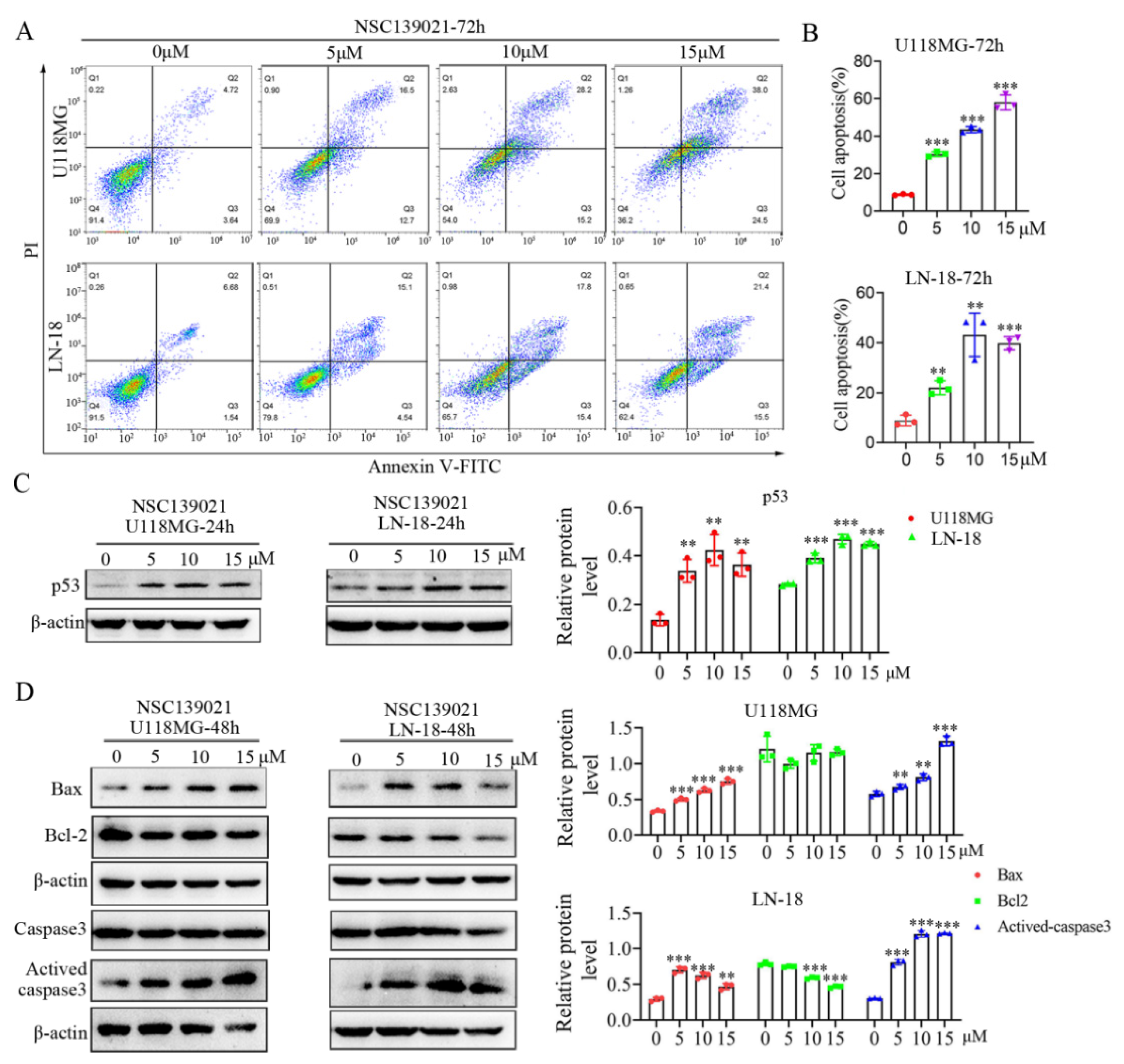 Biomedicines 09 01244 g004