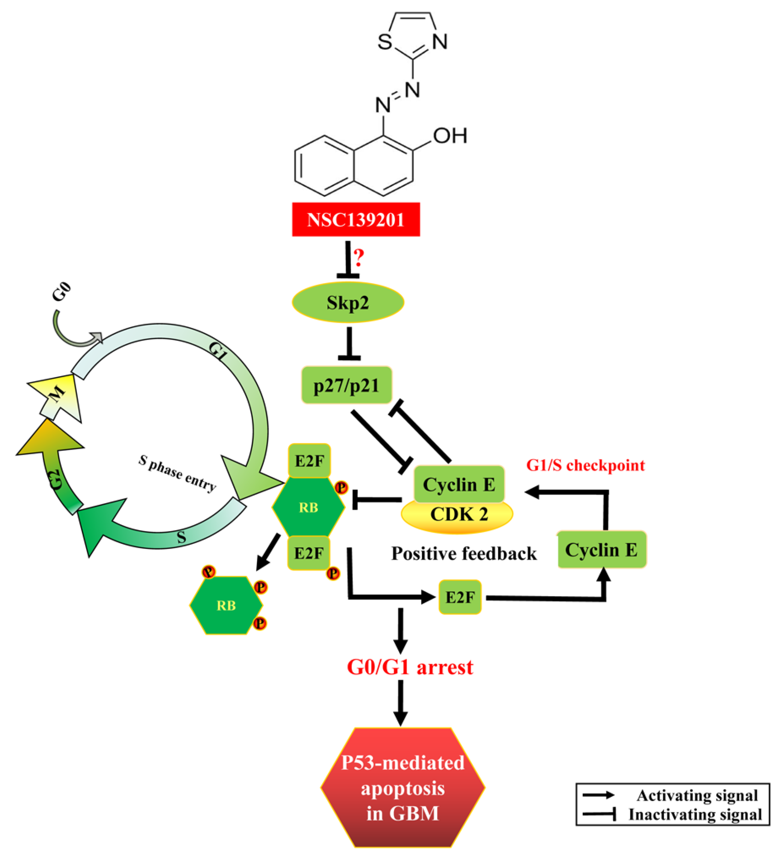 Biomedicines 09 01244 g006