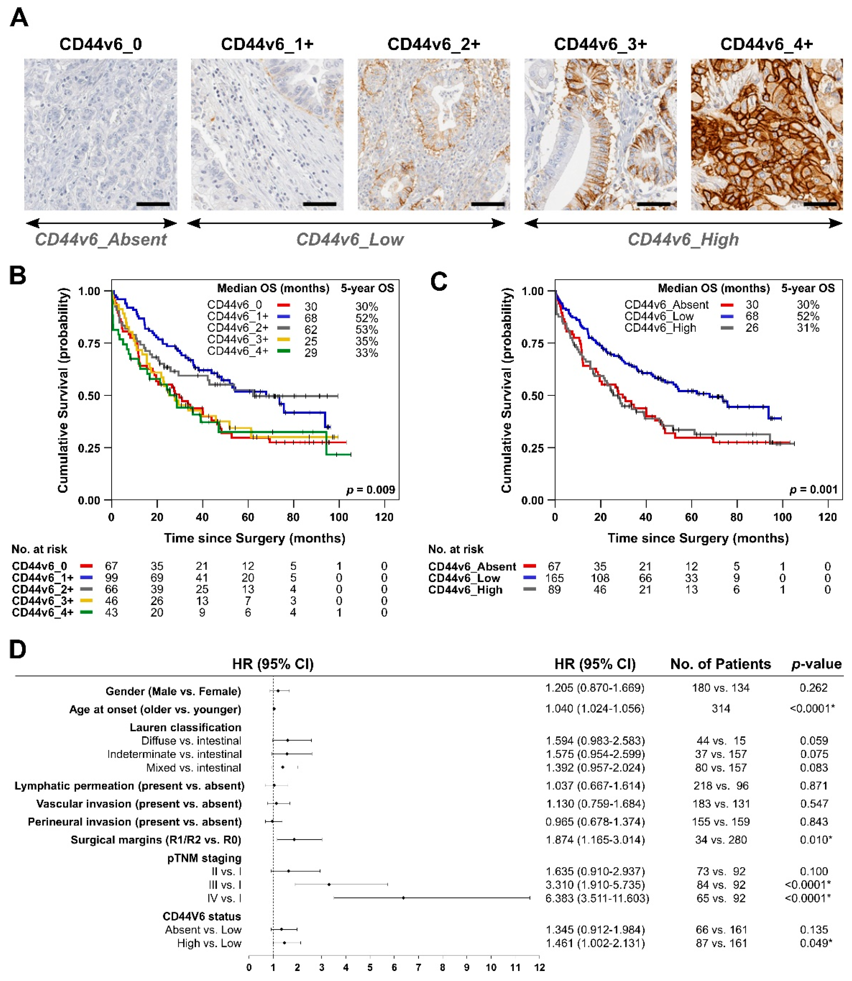 Biomedicines 09 01249 g001