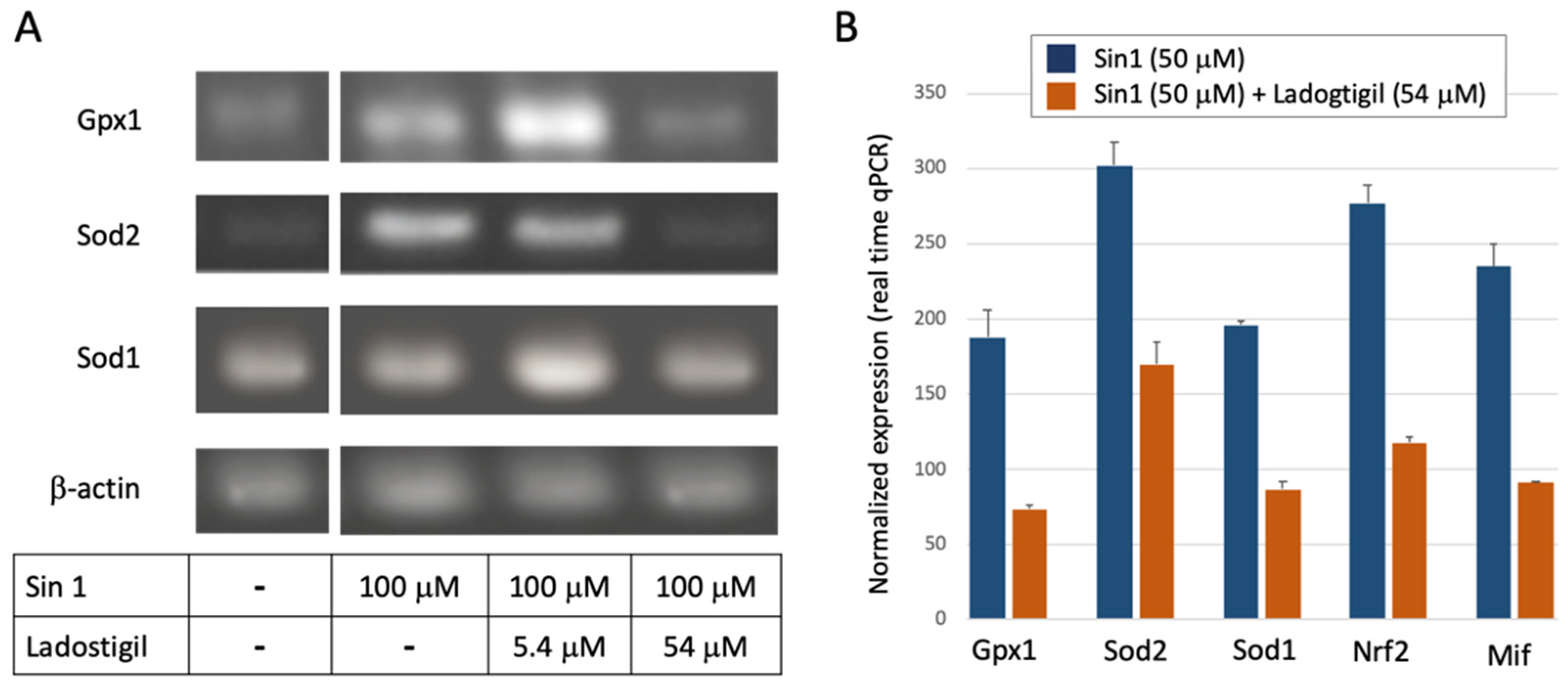 Biomedicines 09 01251 g003