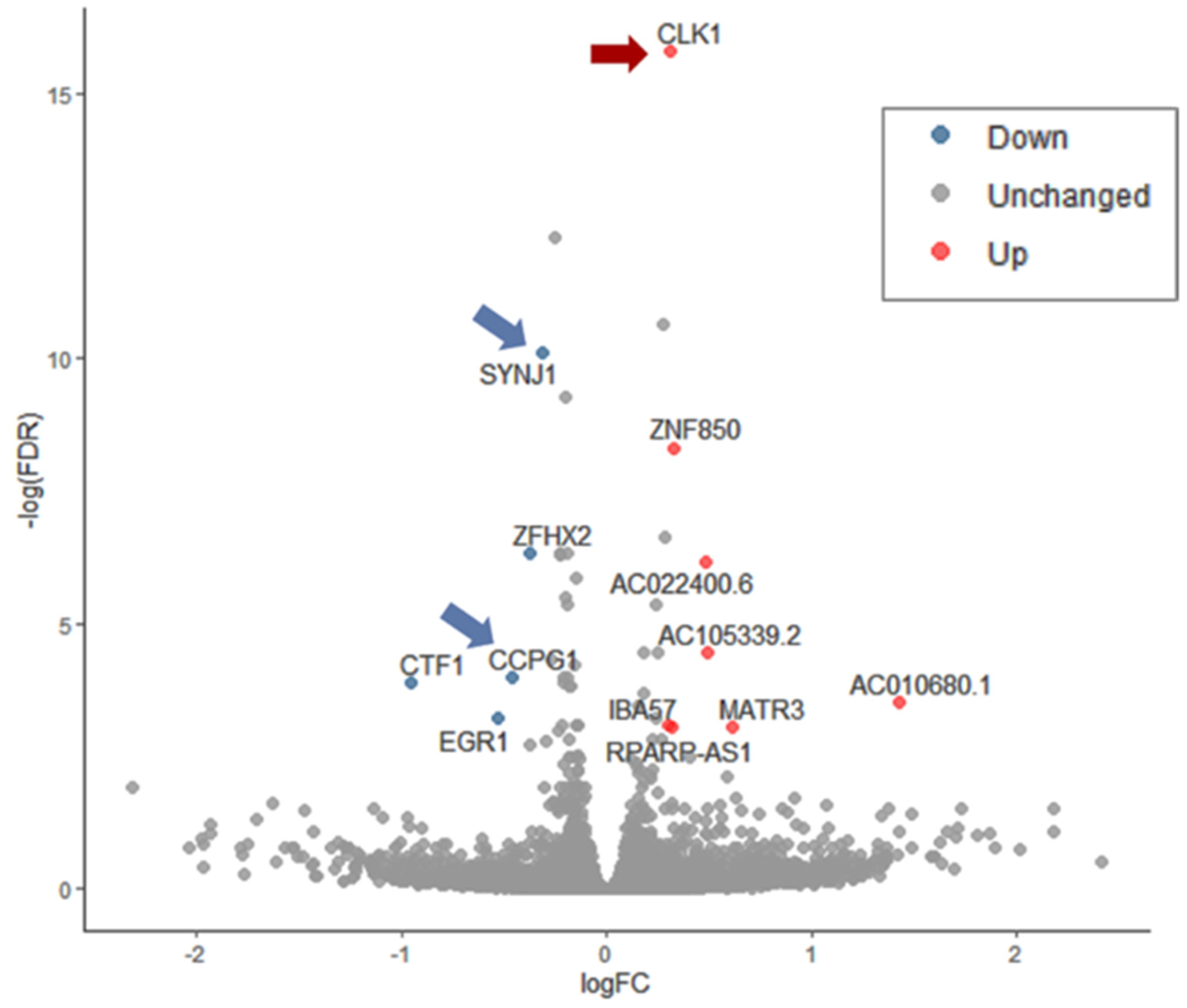 Biomedicines 09 01251 g006