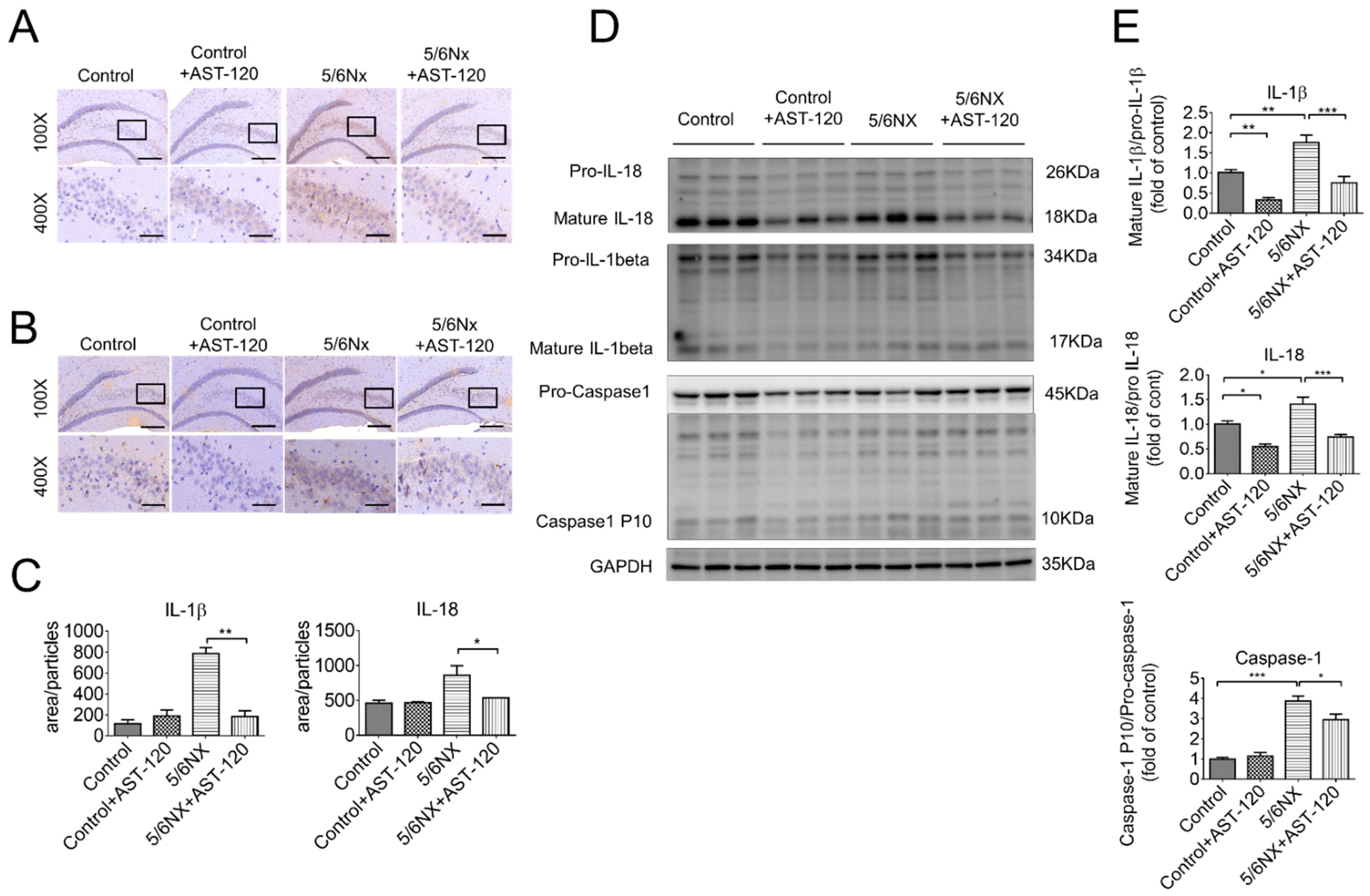 Biomedicines 09 01252 g006 Biomedicines 09 01252 g006