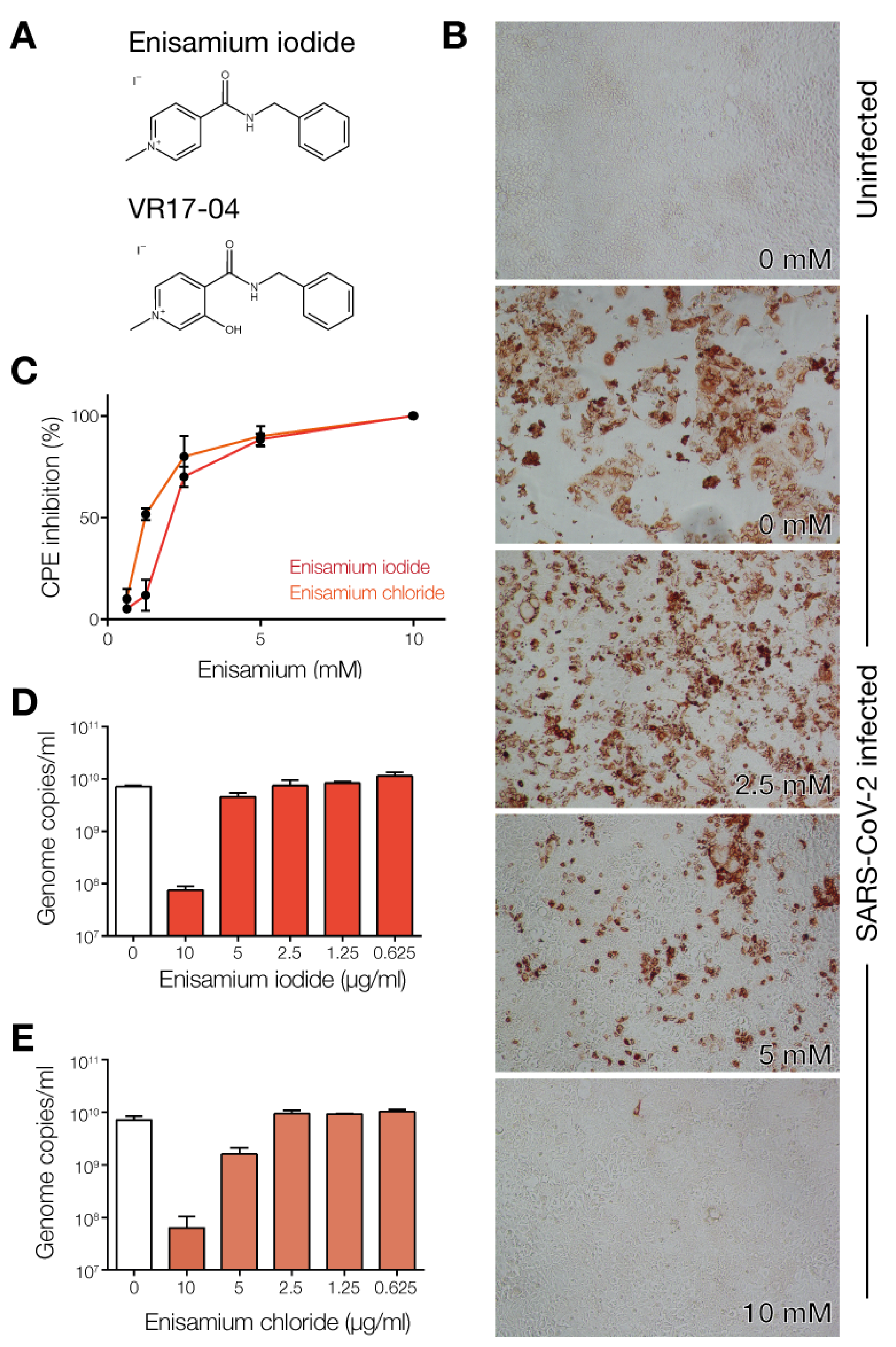 Biomedicines 09 01254 g001