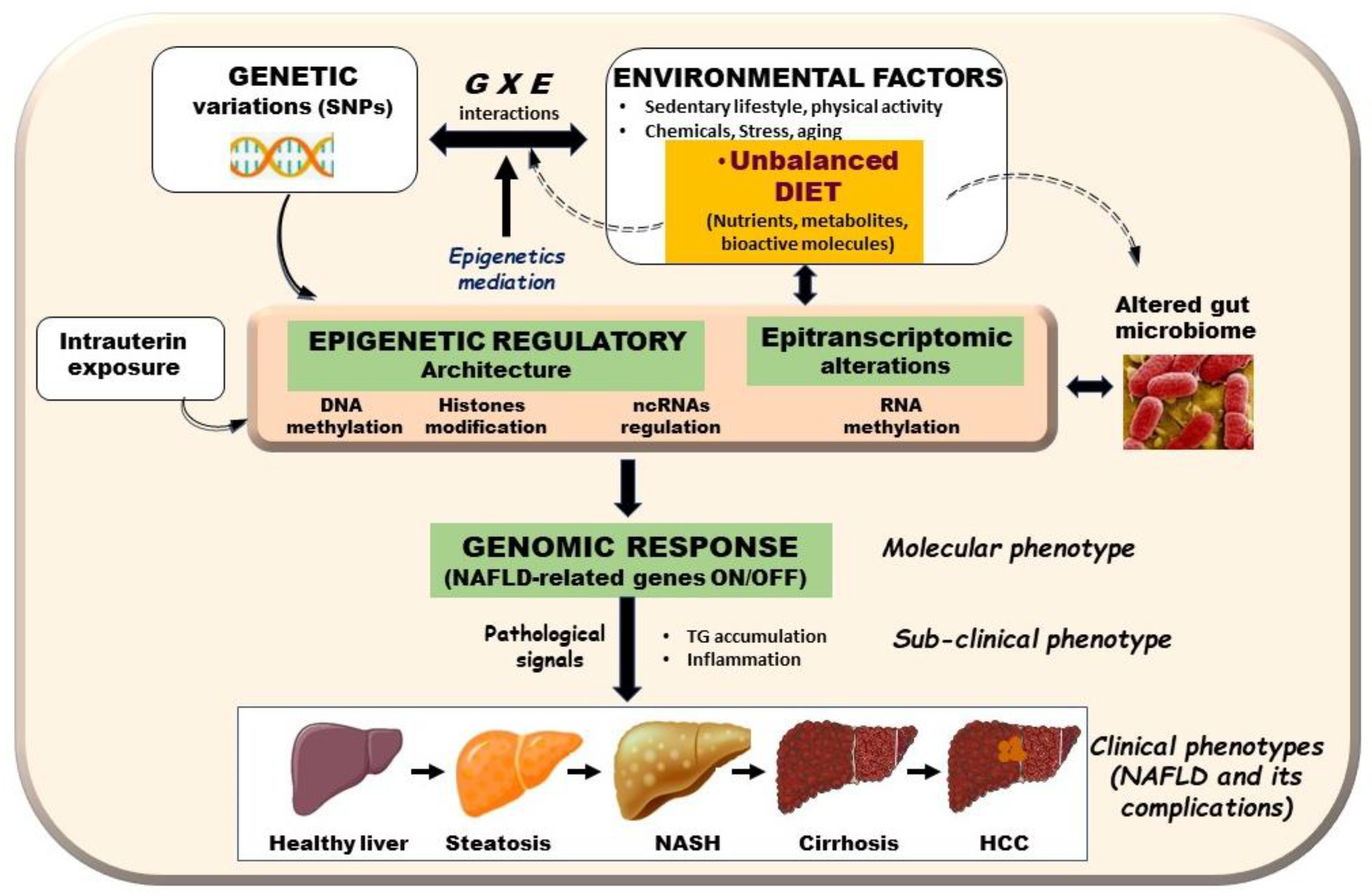 Biomedicines 09 01256 g001
