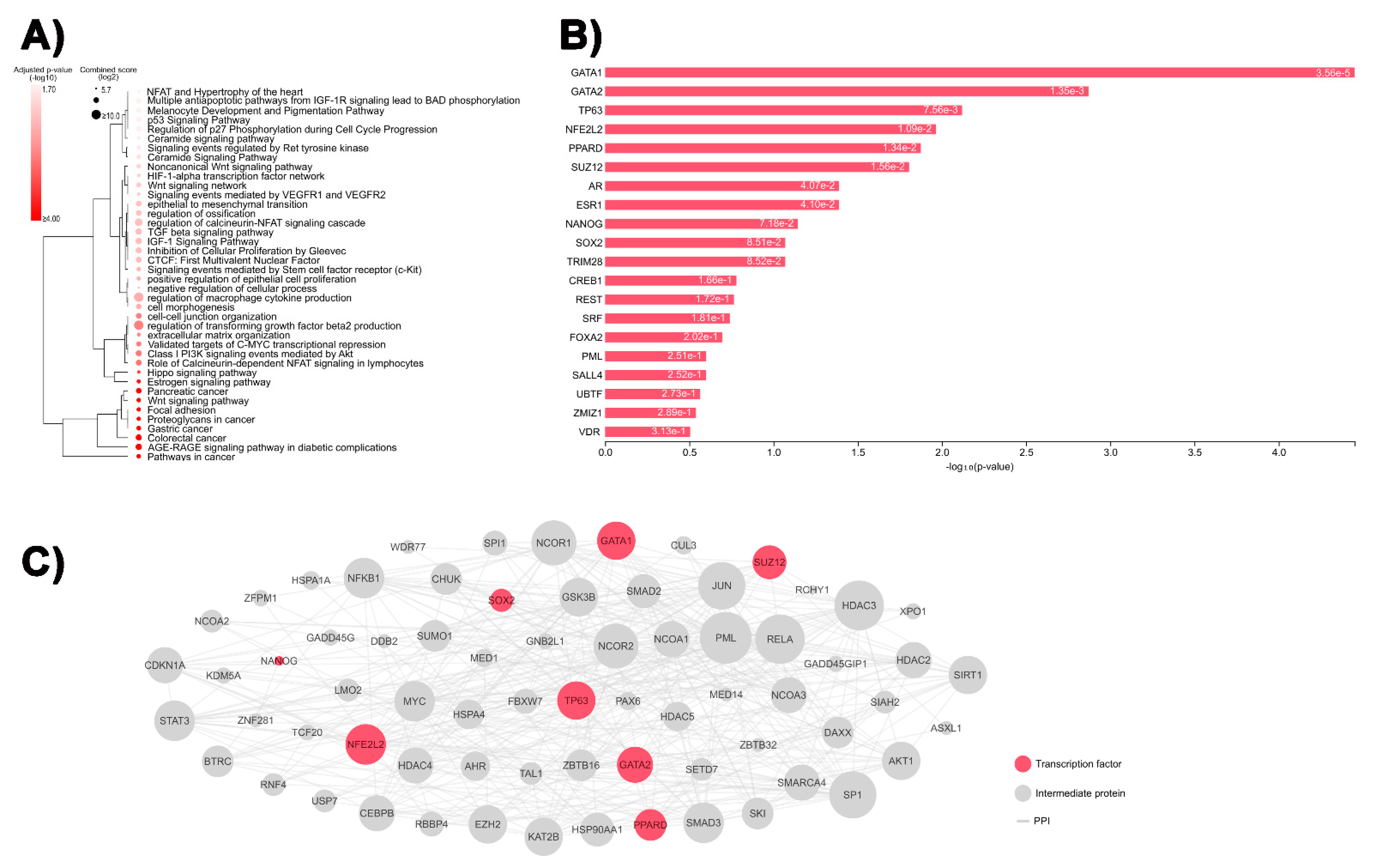 Biomedicines 09 01258 g002