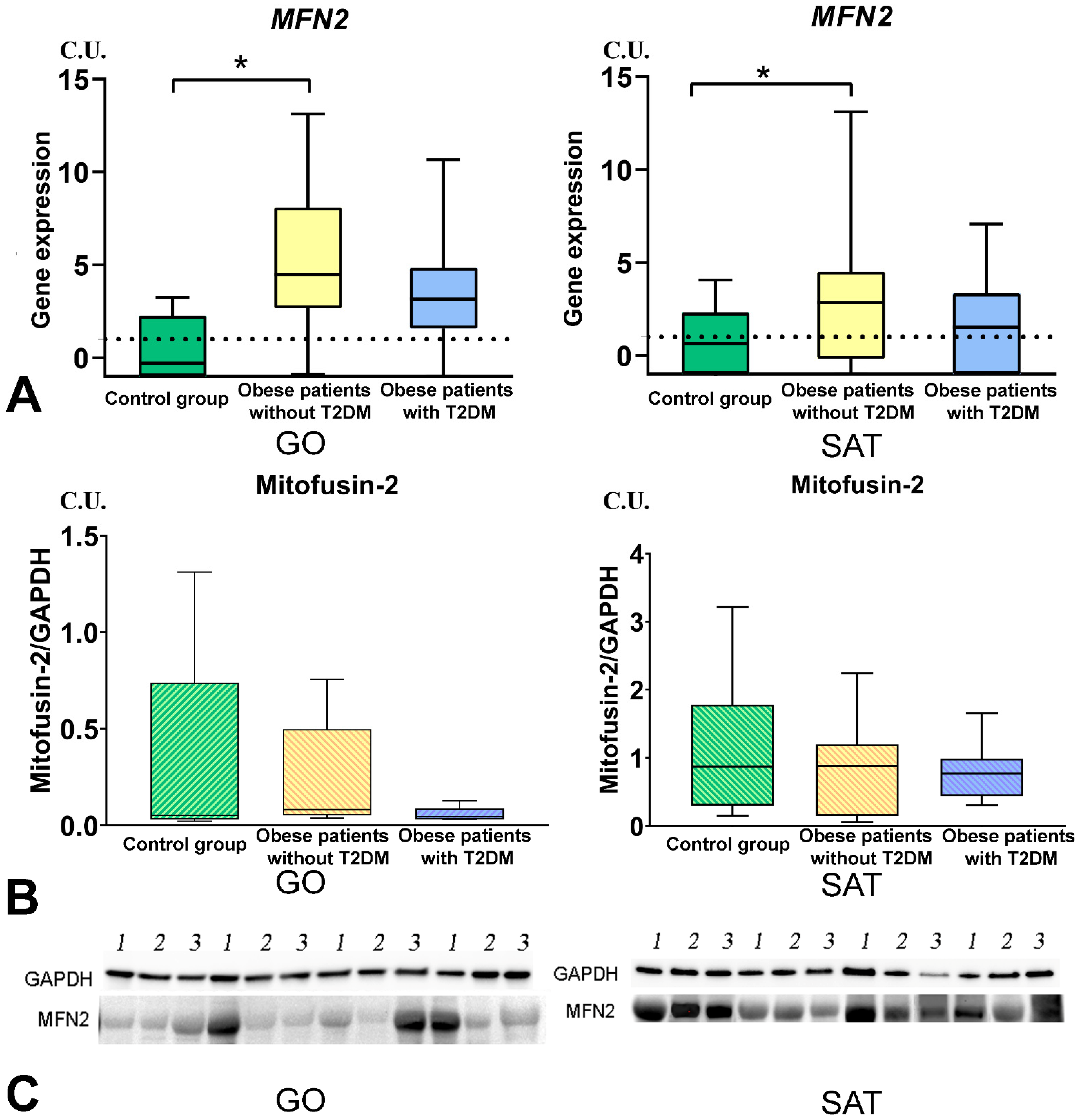 Biomedicines 09 01260 g007
