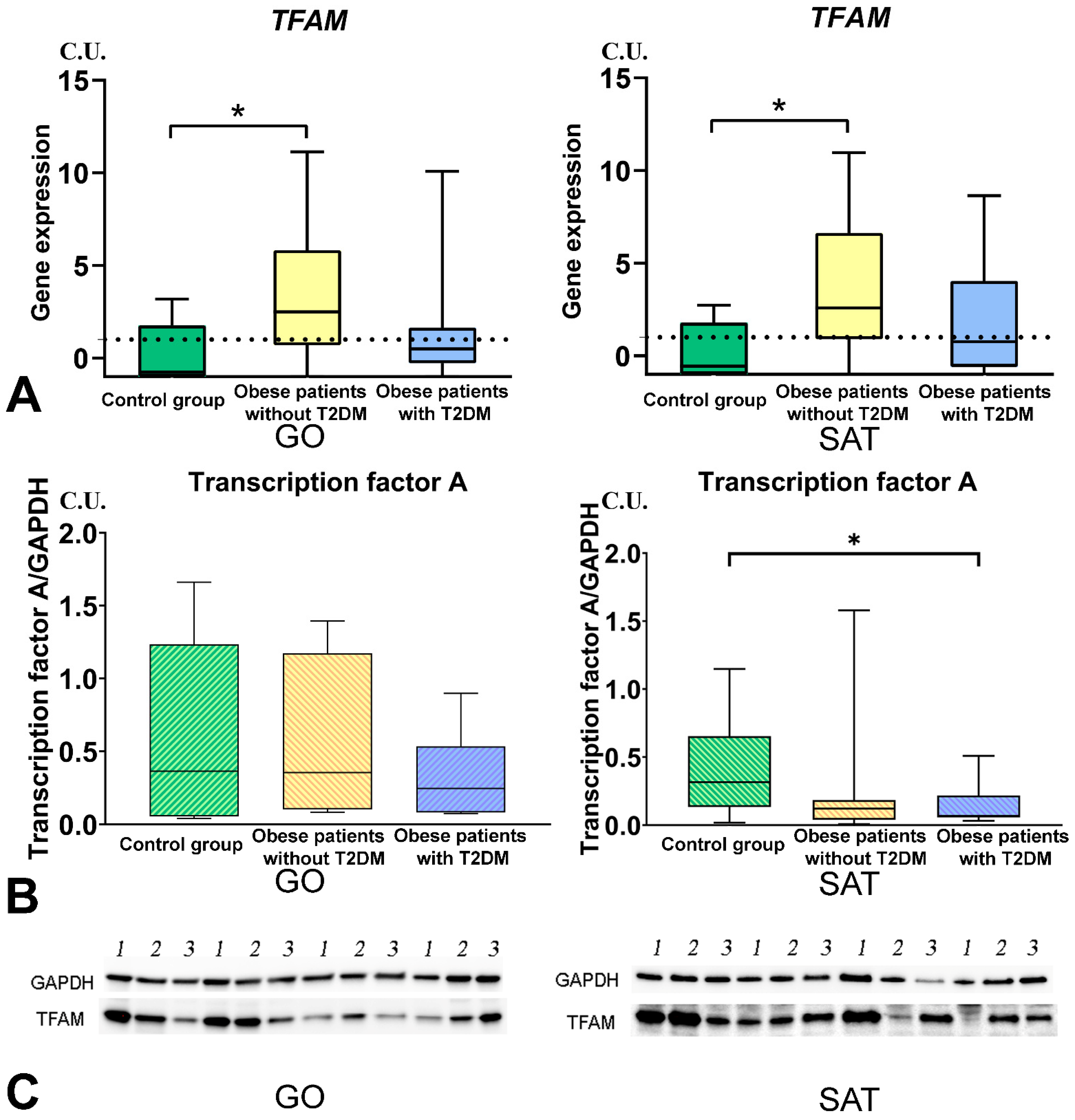 Biomedicines 09 01260 g008