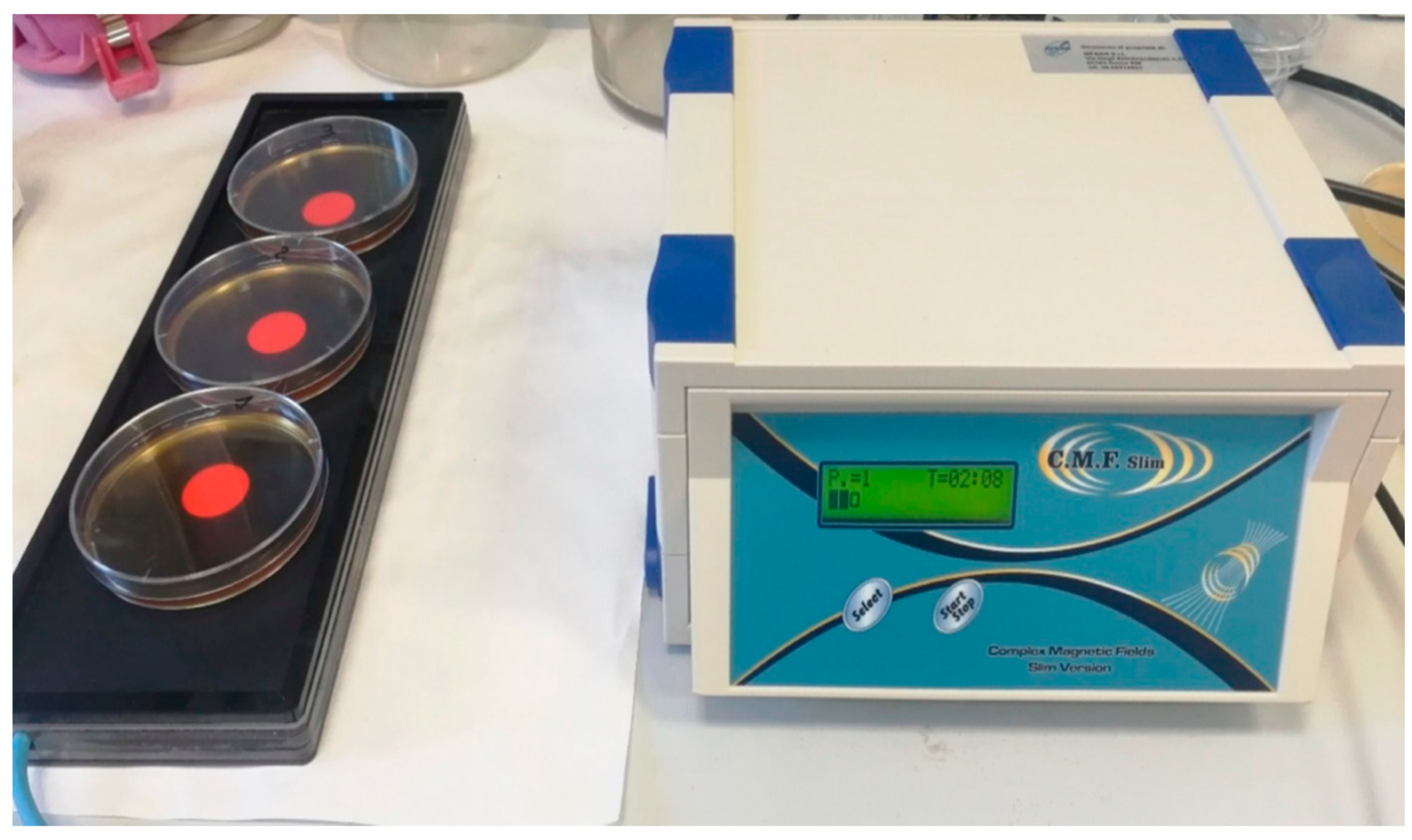 Biomedicines 09 01261 g001