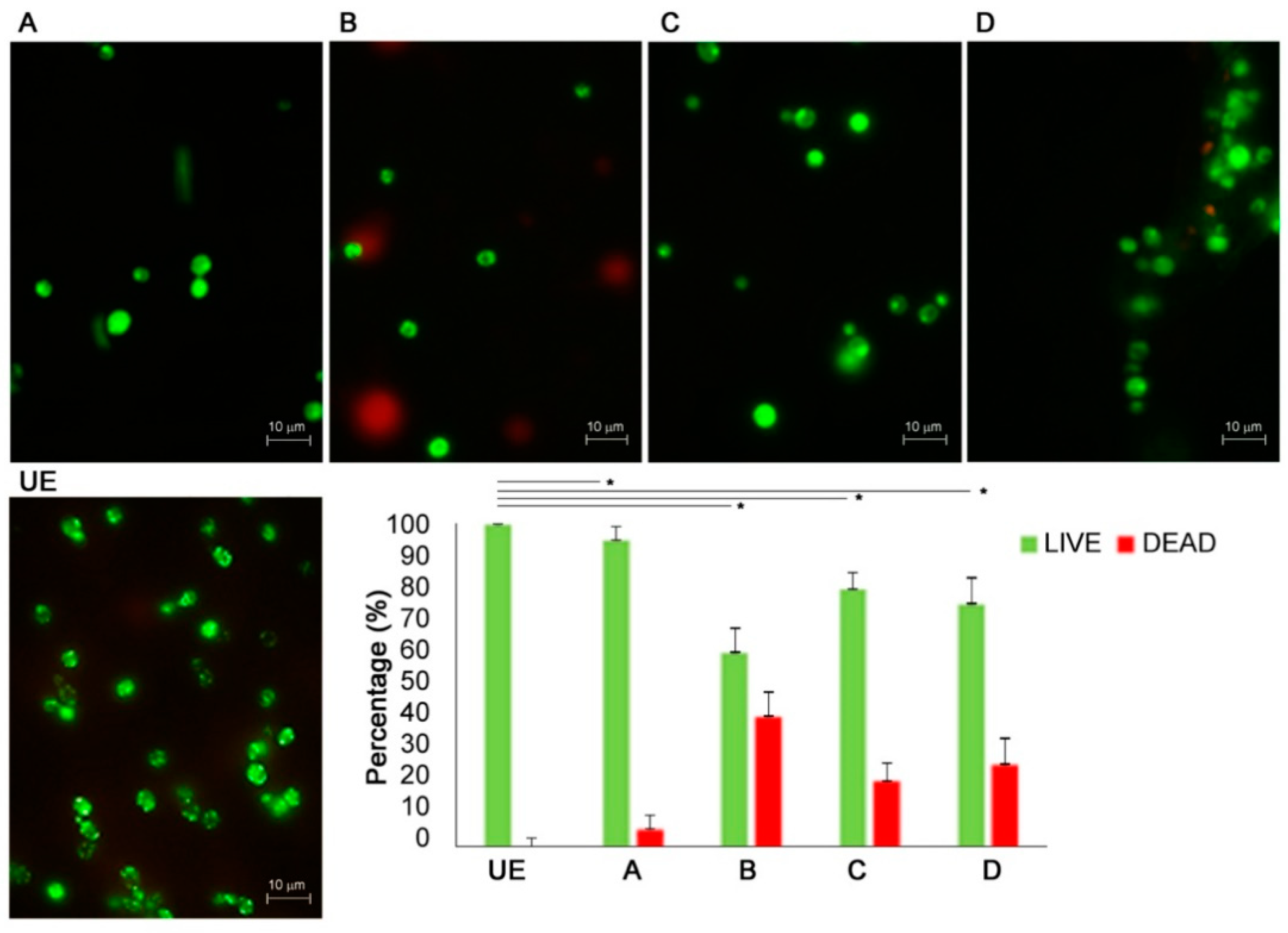 Biomedicines 09 01261 g003