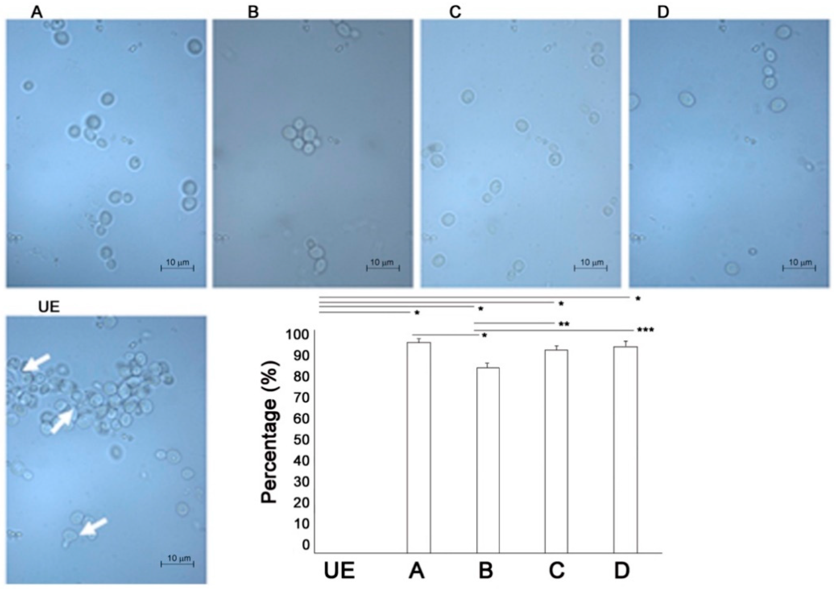 Biomedicines 09 01261 g005