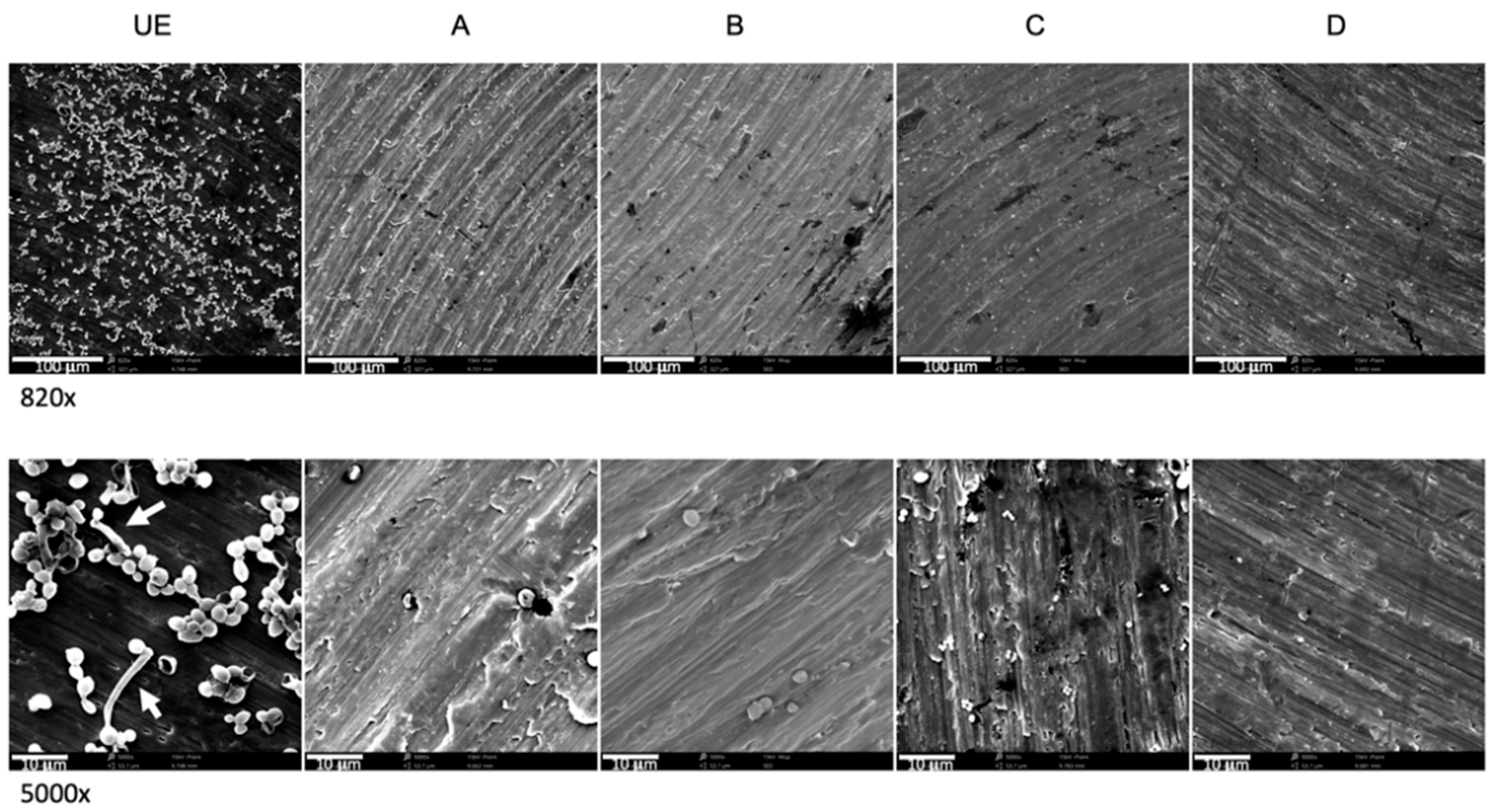 Biomedicines 09 01261 g007
