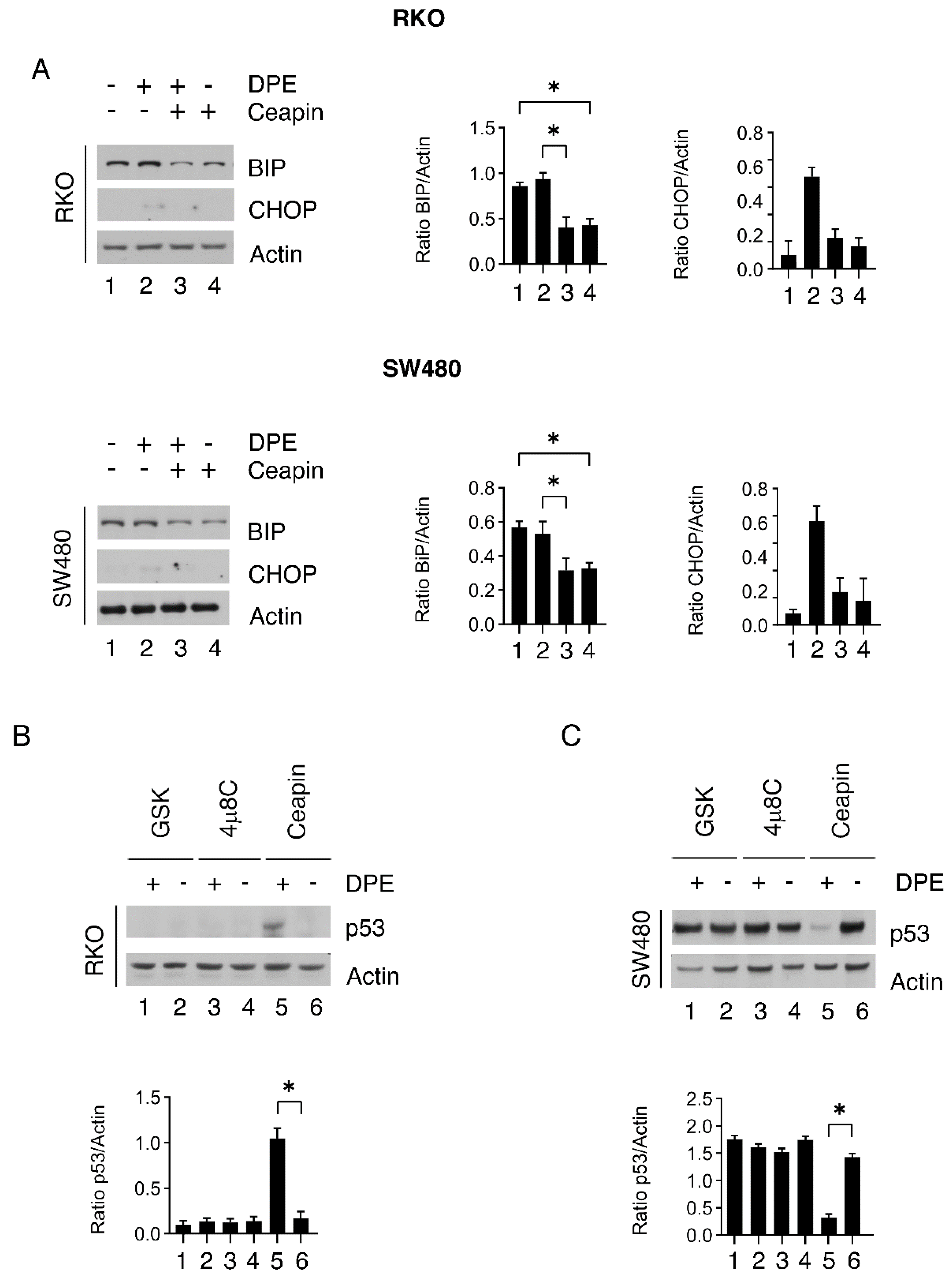 Biomedicines 09 01262 g007