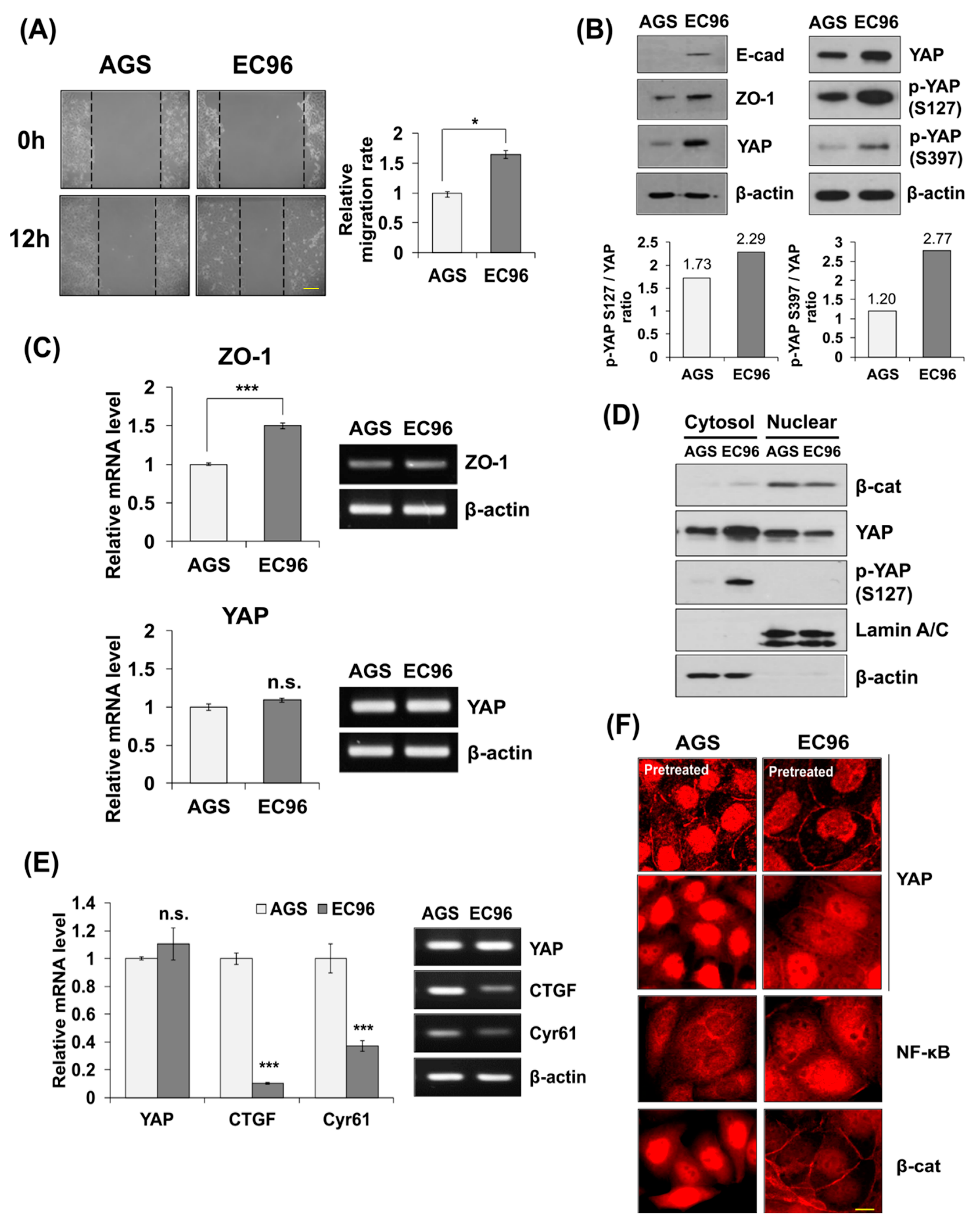 Biomedicines 09 01264 g001 550