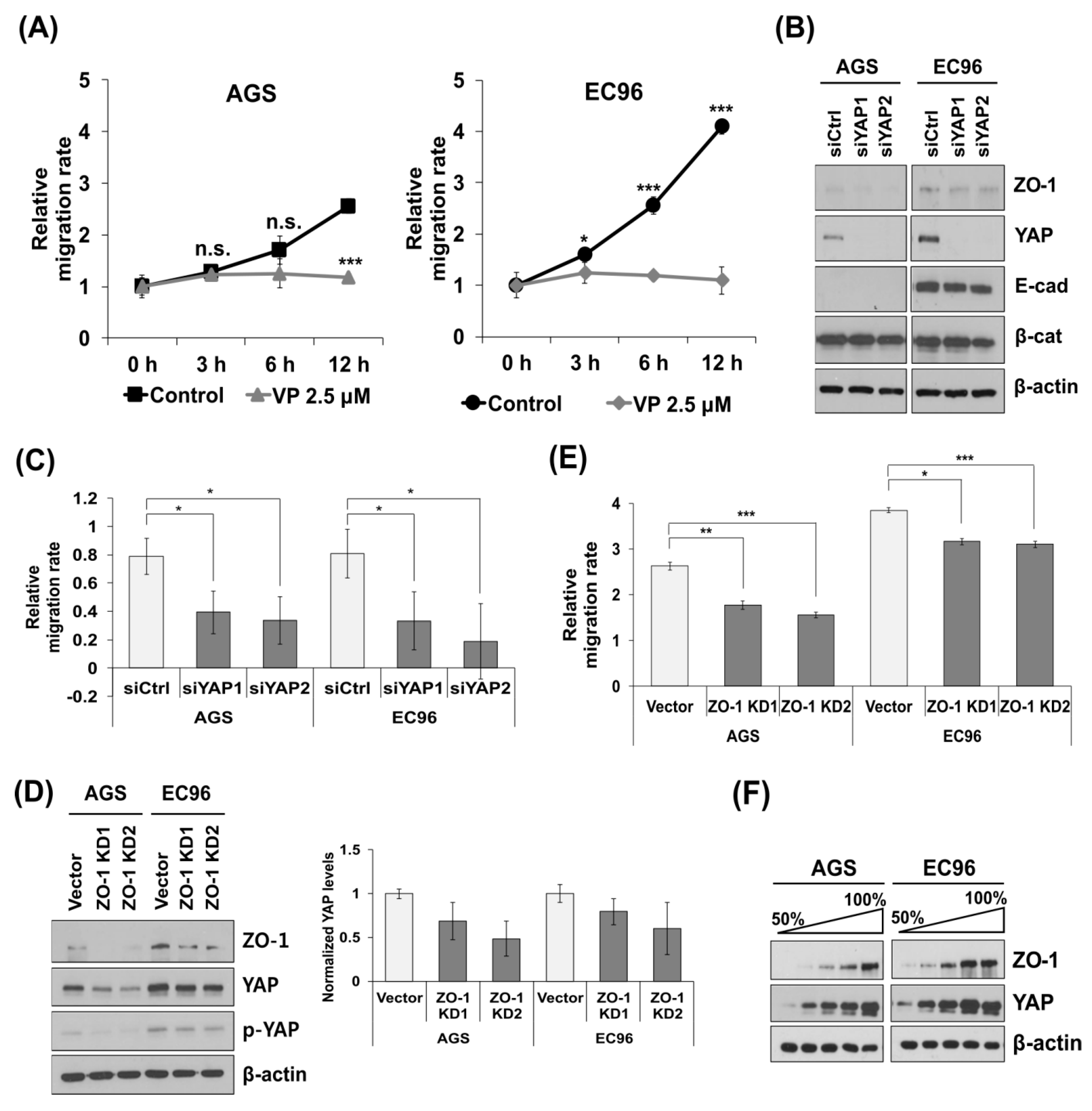 Biomedicines 09 01264 g002 550
