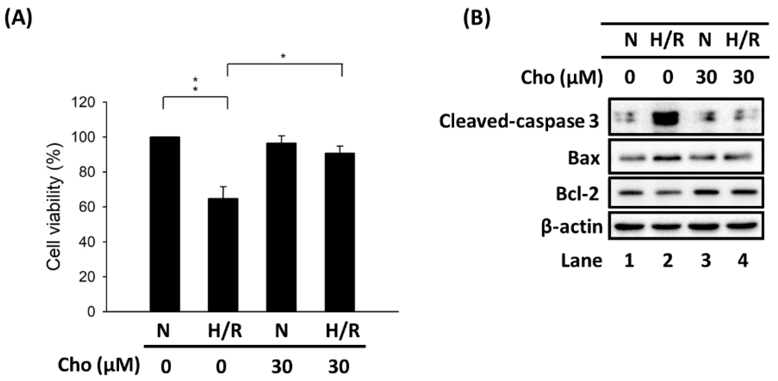 Biomedicines 09 01283 g001