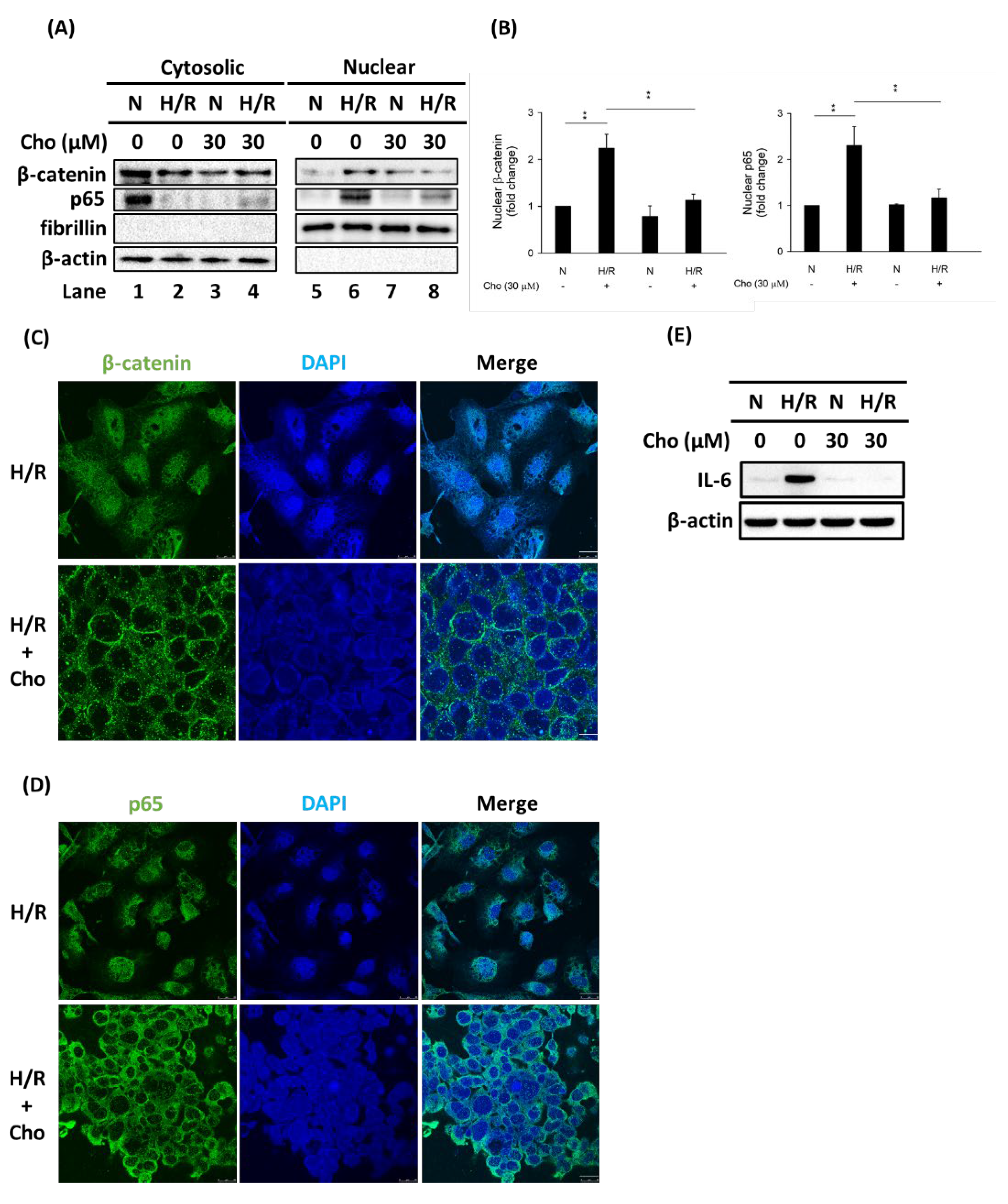 Biomedicines 09 01283 g004