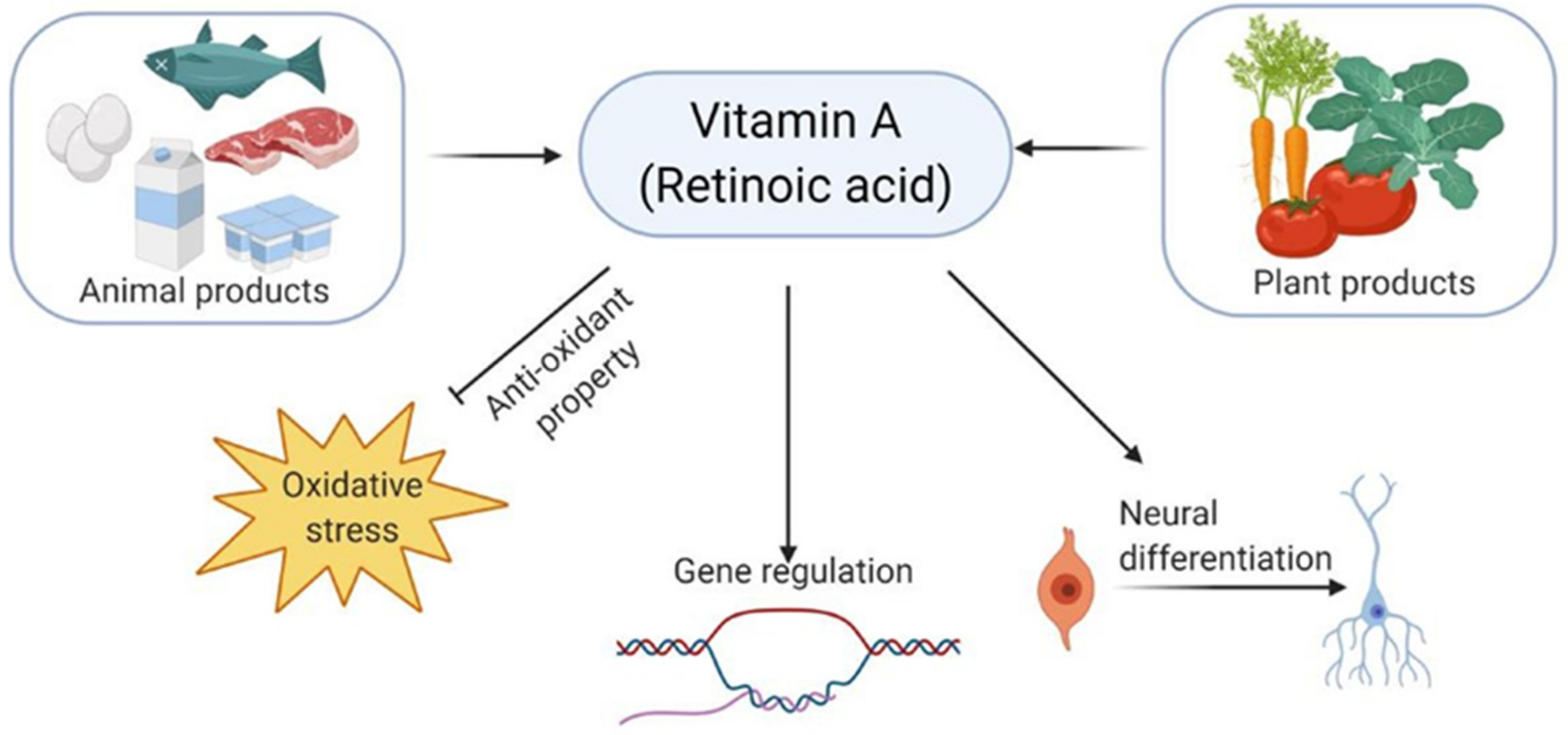 PDF) Clinical, phenotypic and genetic landscape of case reports with  genetically proven inherited disorders of vitamin B12 metabolism: A  meta-analysis