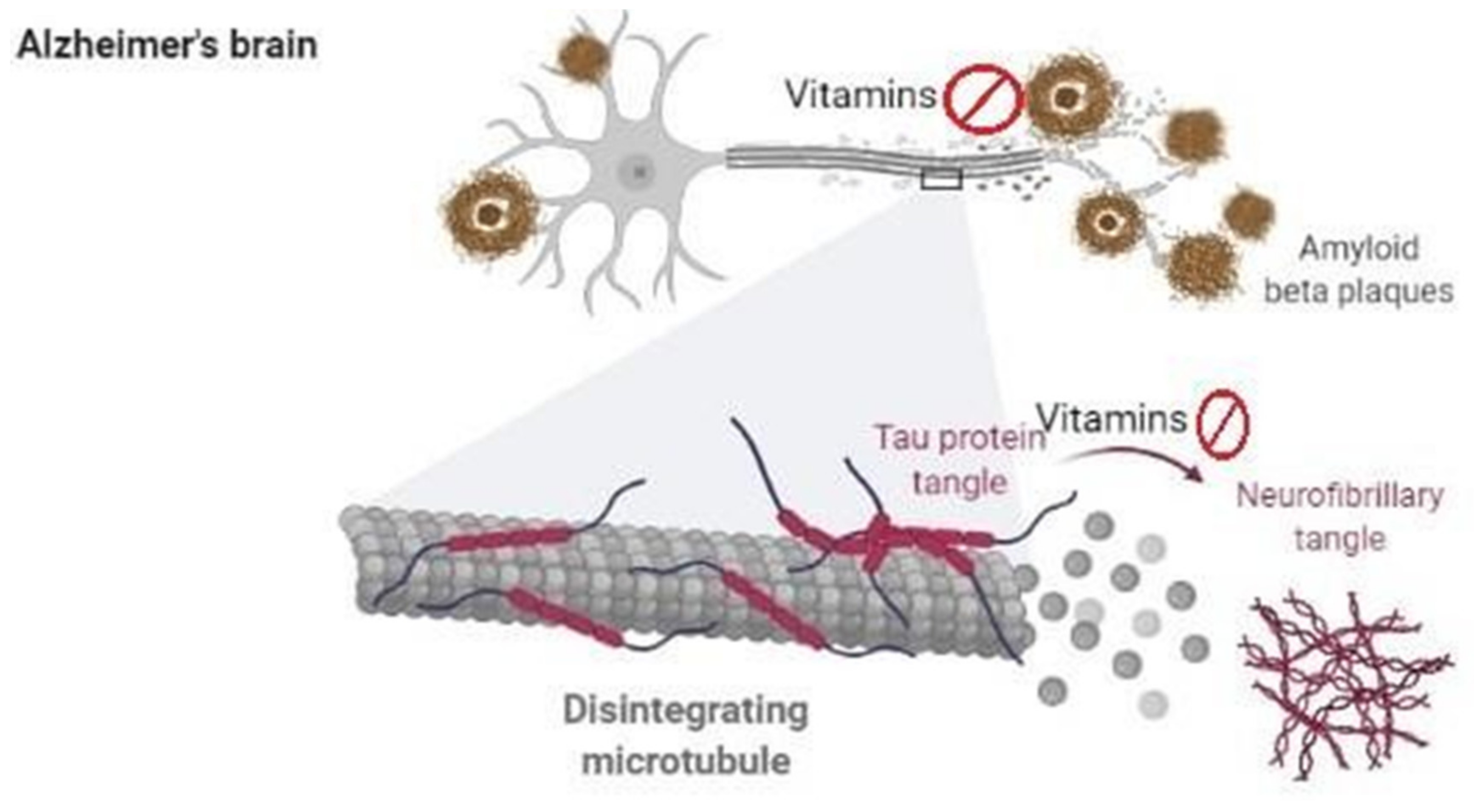 Biomedicines 09 01284 g003 Biomedicines 09 01284 g003