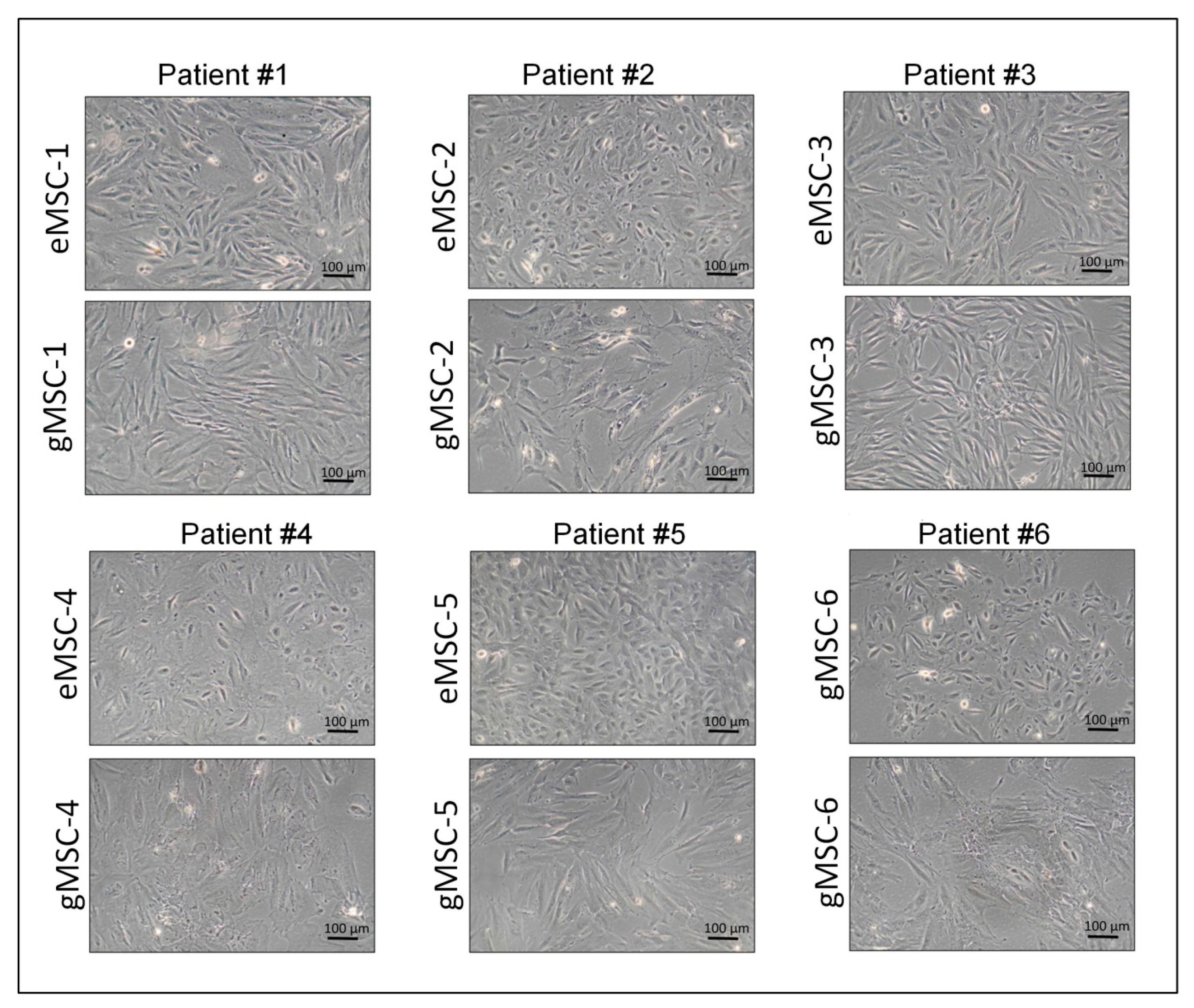 Biomedicines 09 01286 g001 550