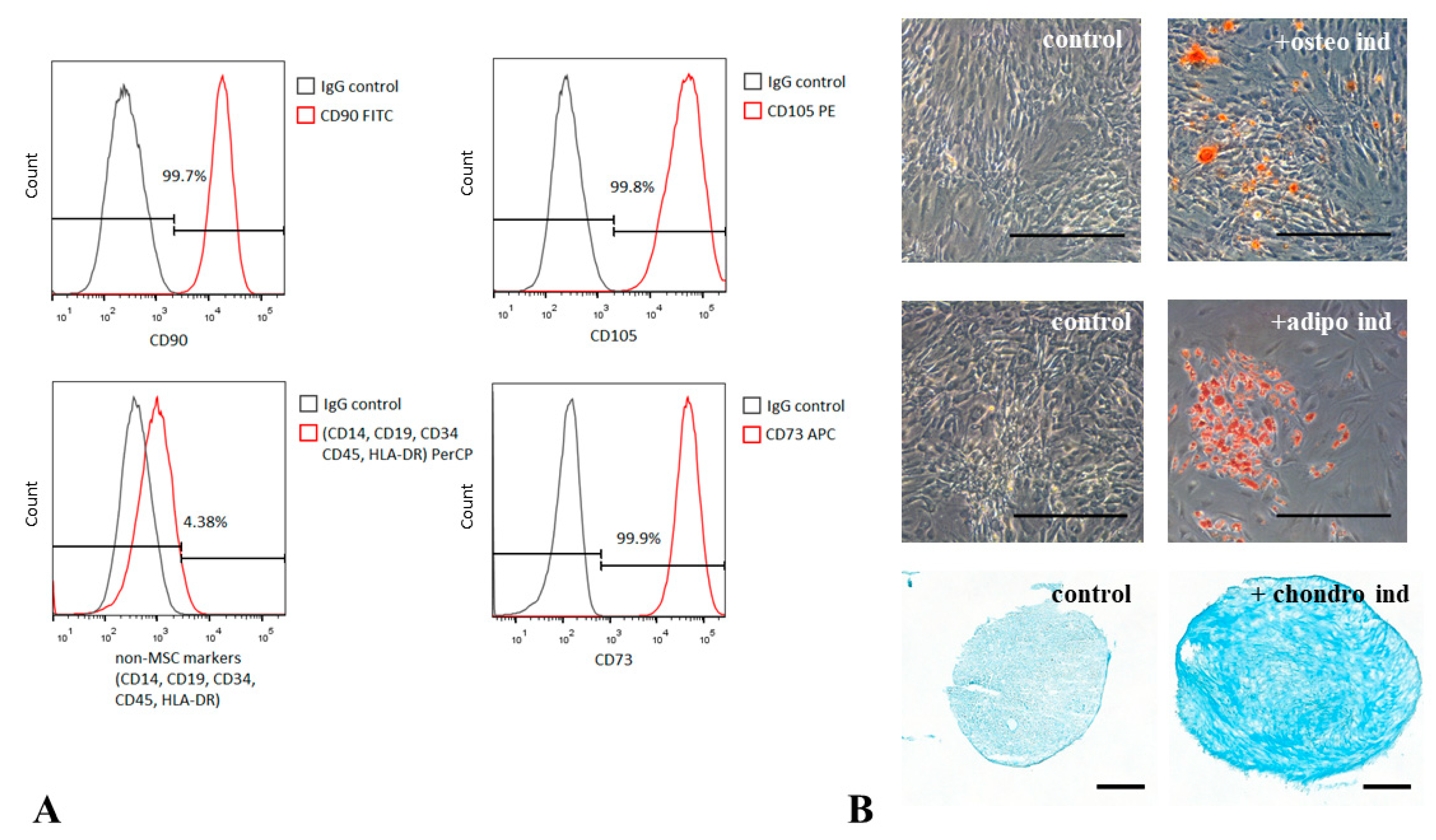 Biomedicines 09 01290 g001