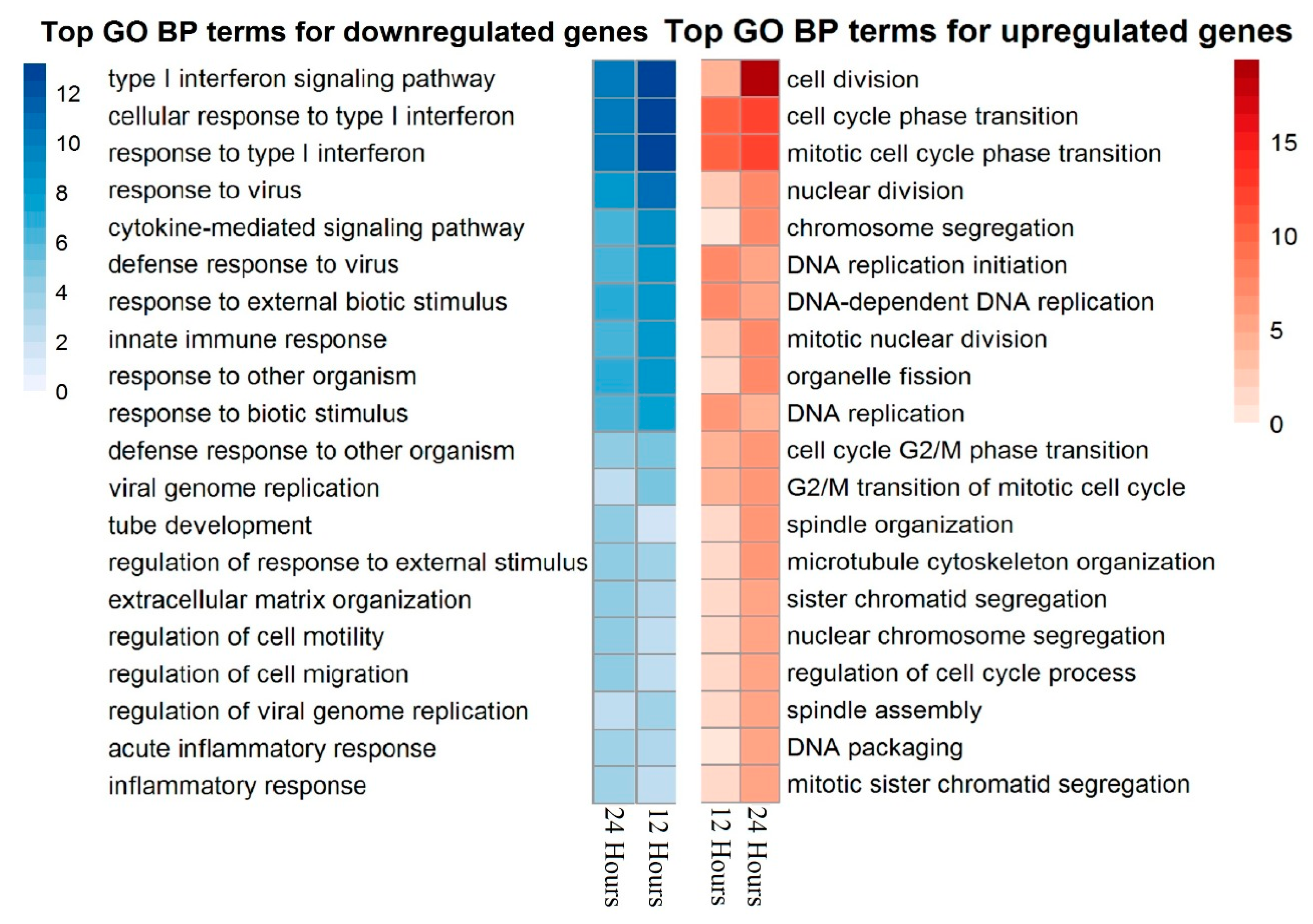 Biomedicines 09 01290 g003