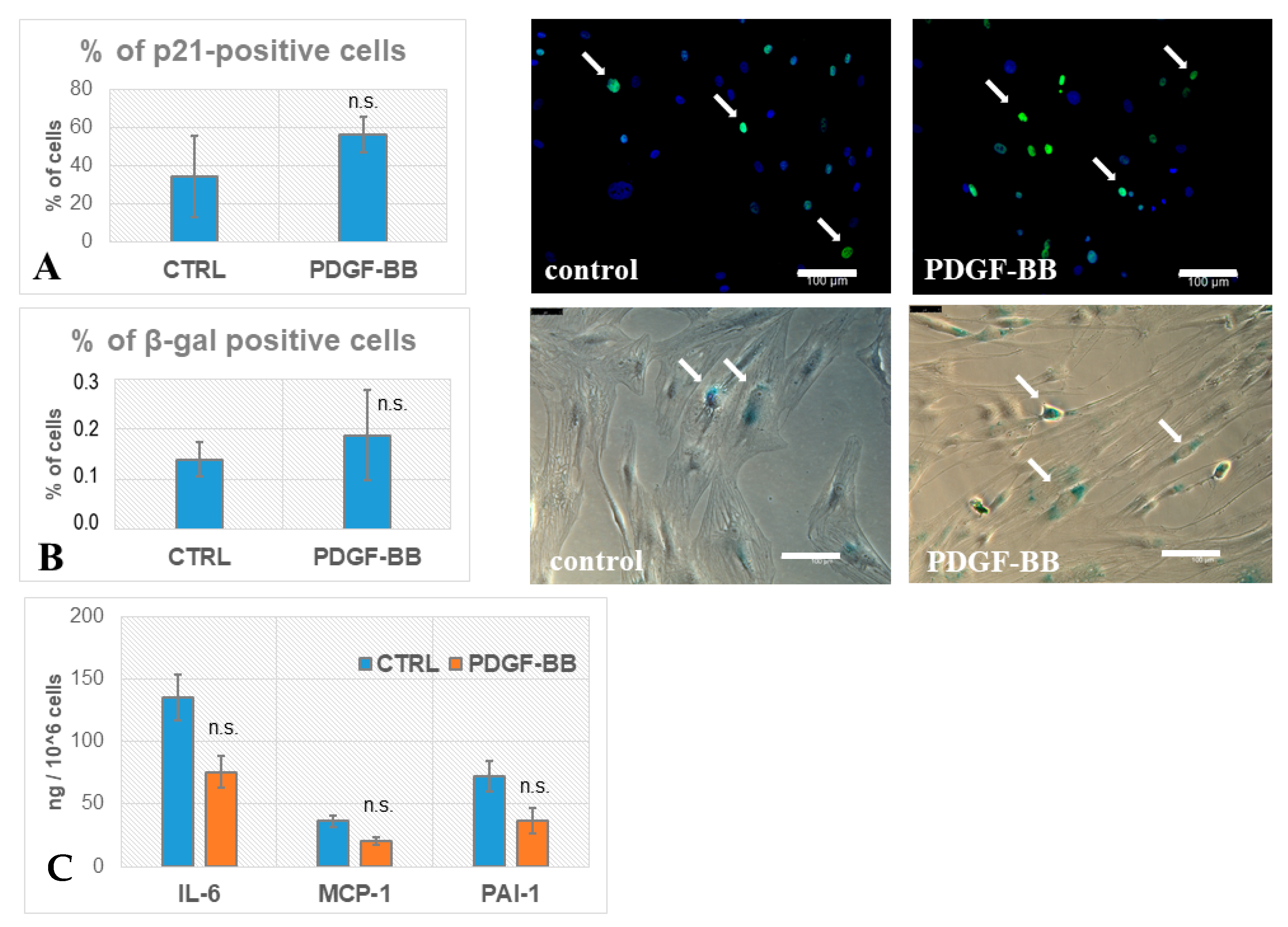 Biomedicines 09 01290 g004
