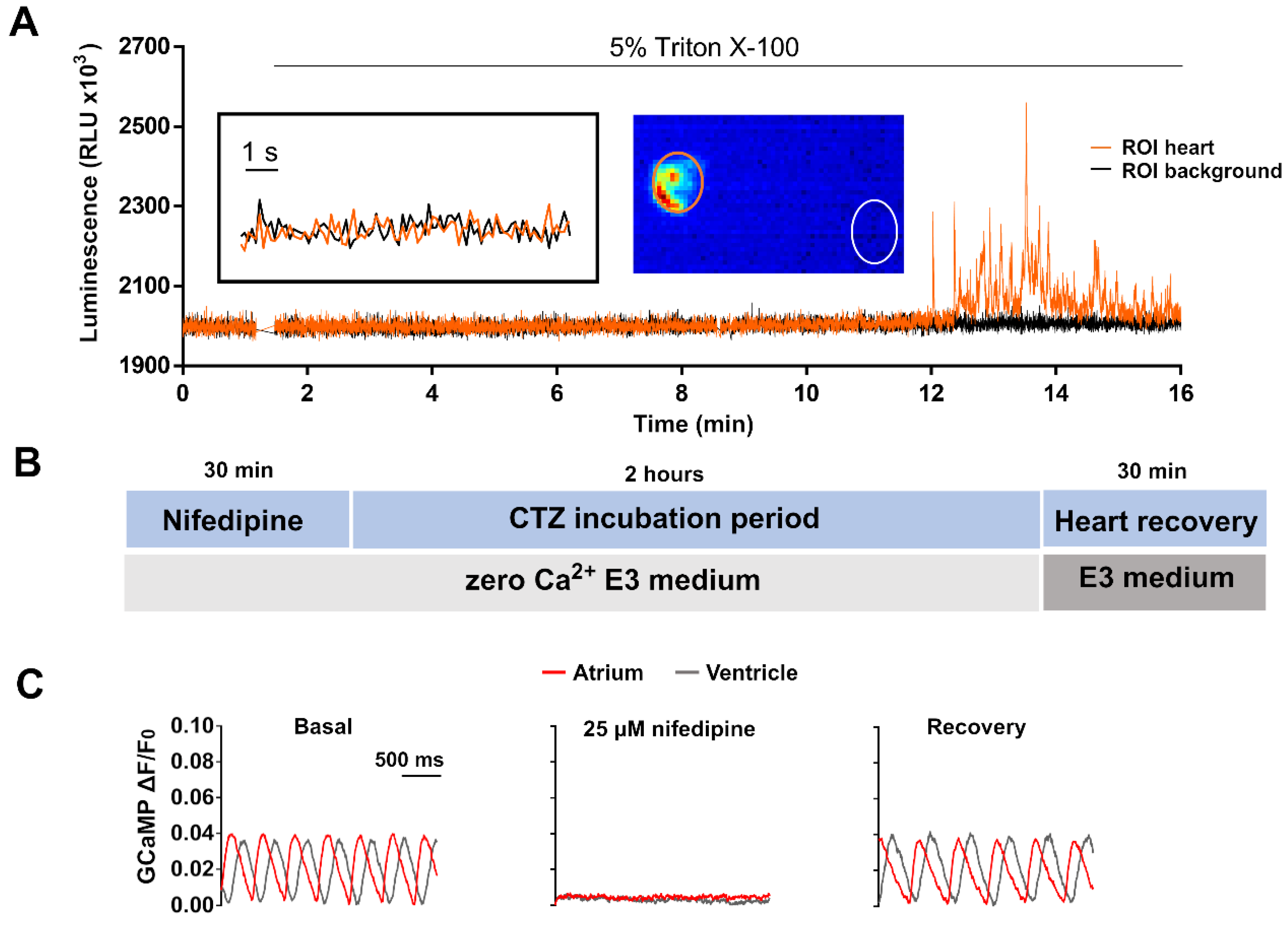 Biomedicines 09 01294 g002