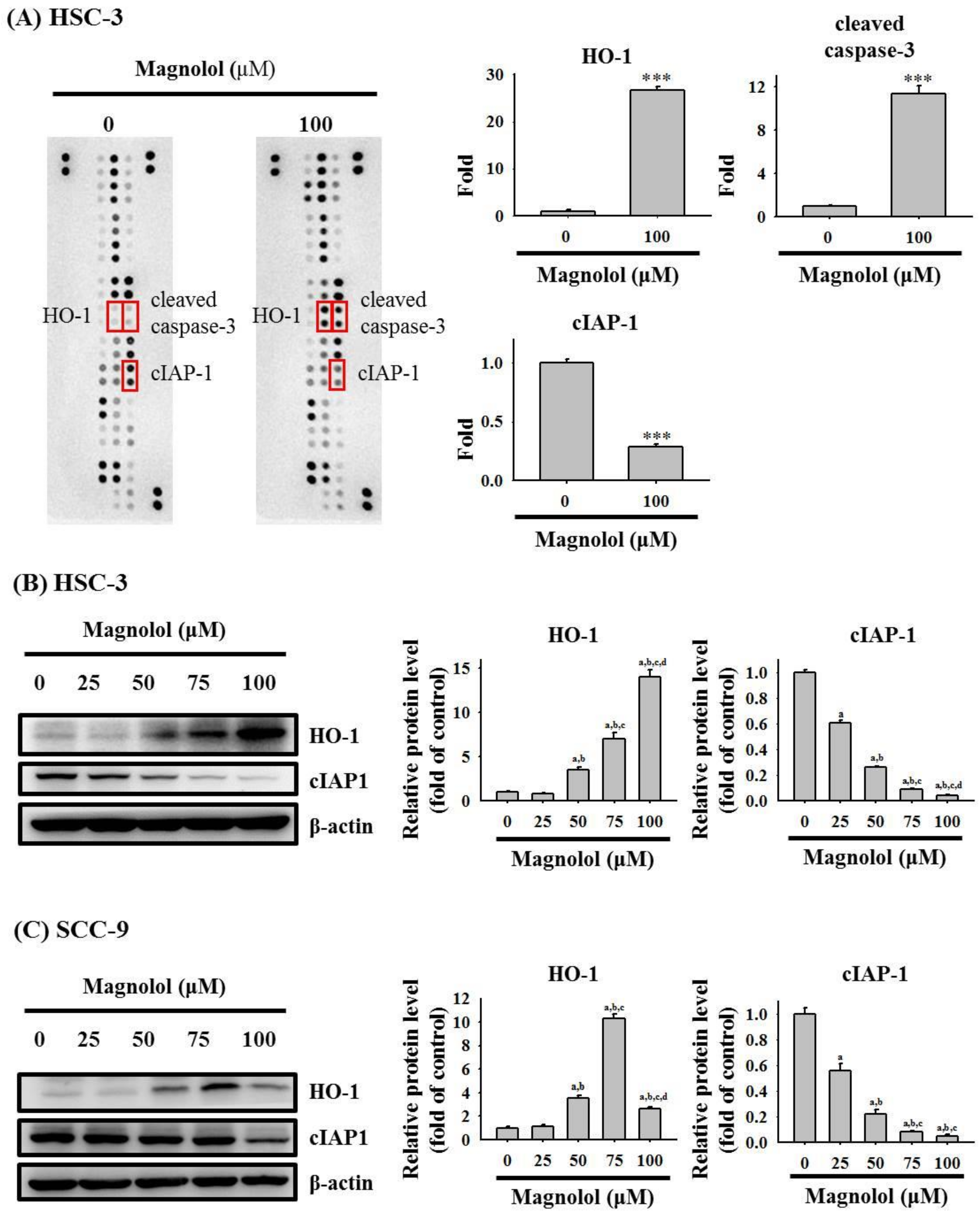 Biomedicines 09 01295 g004