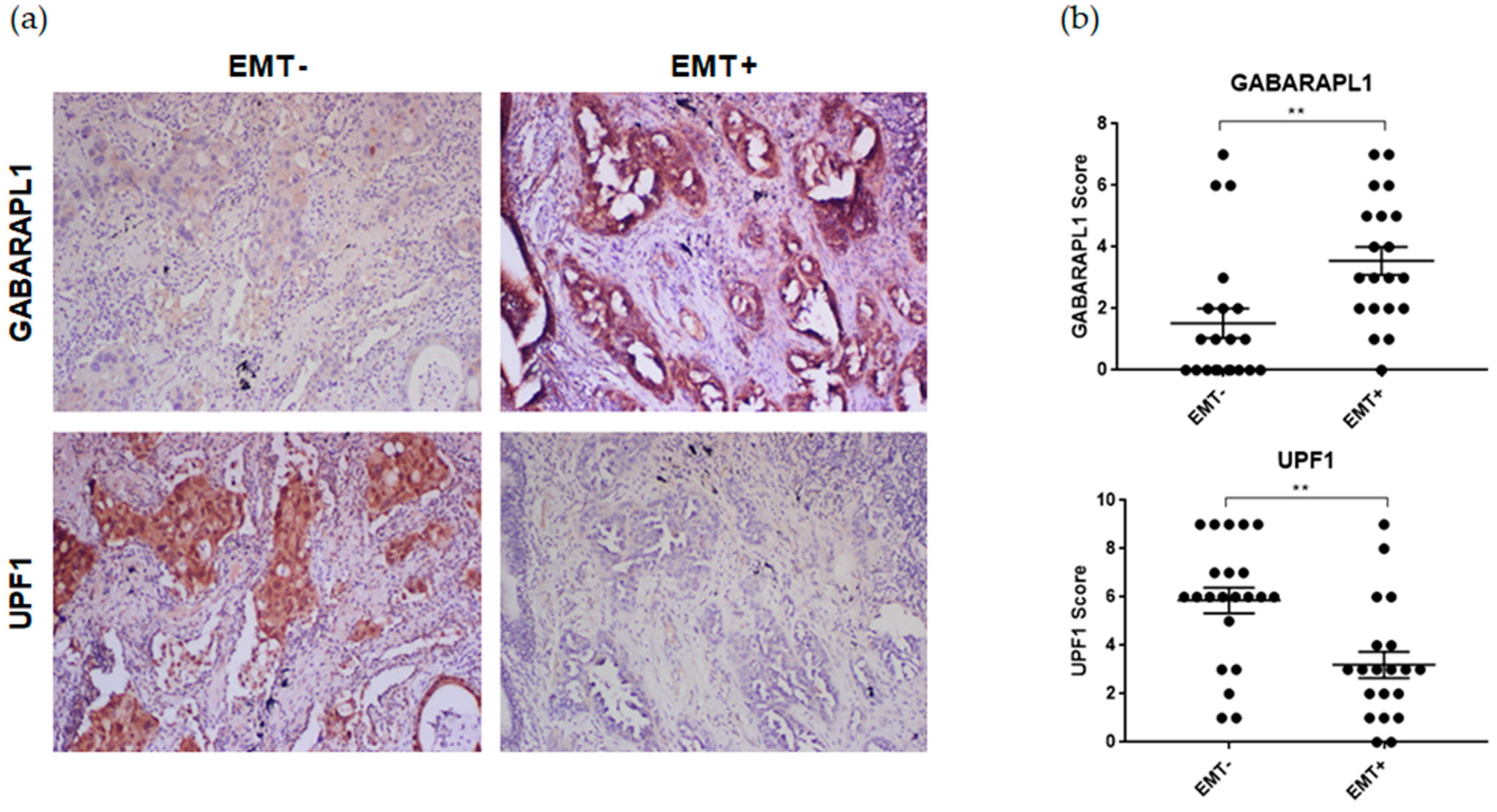 Biomedicines 09 01302 g001