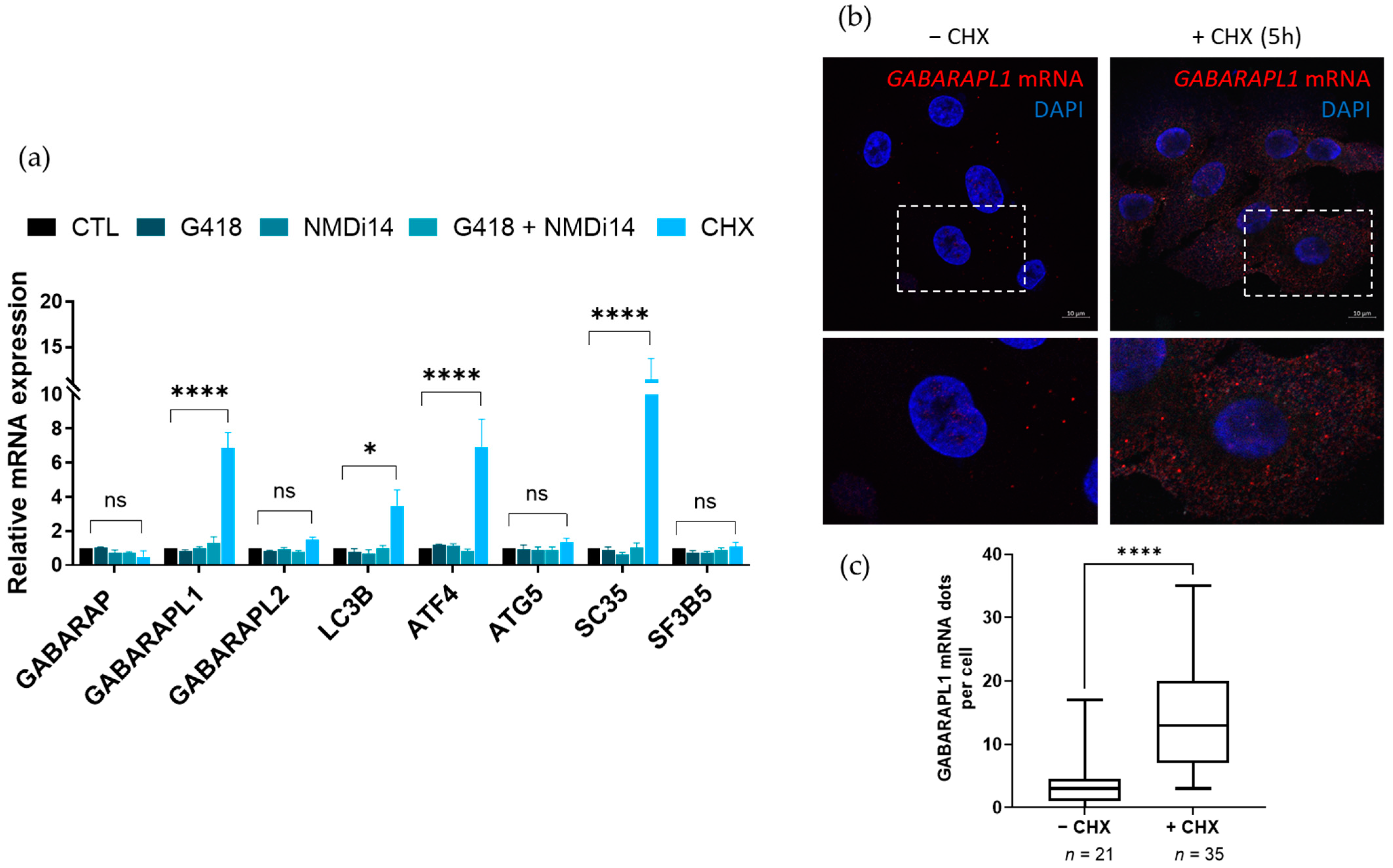 Biomedicines 09 01302 g003