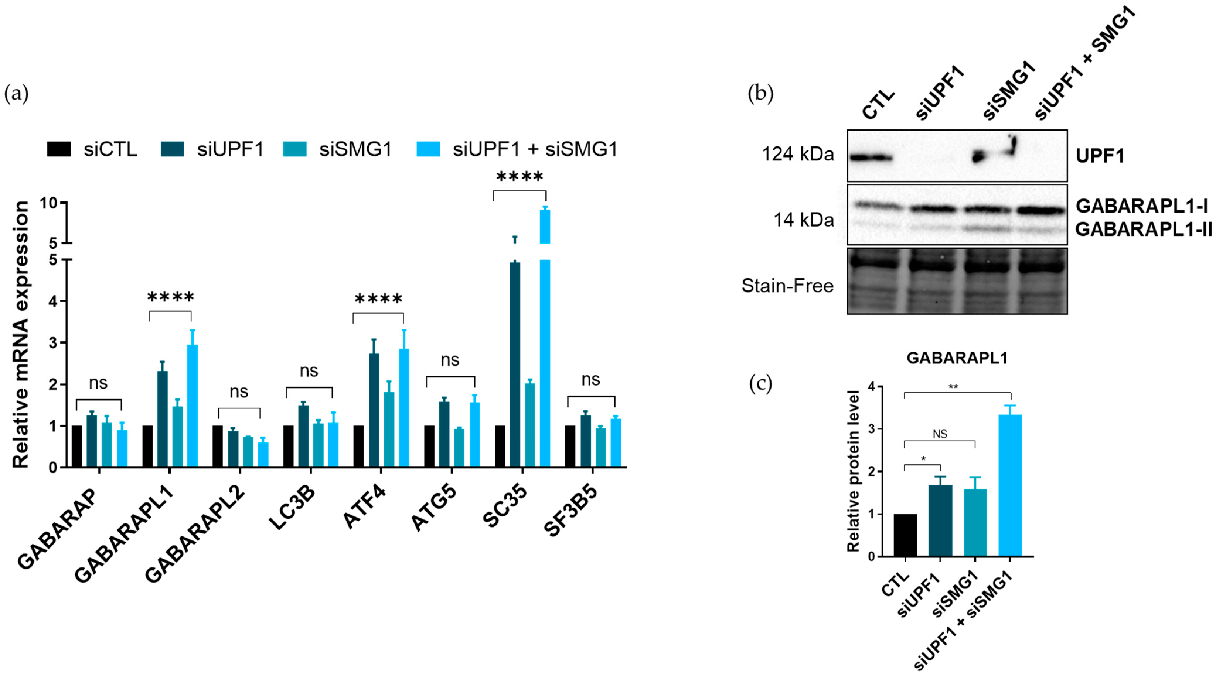 Biomedicines 09 01302 g004