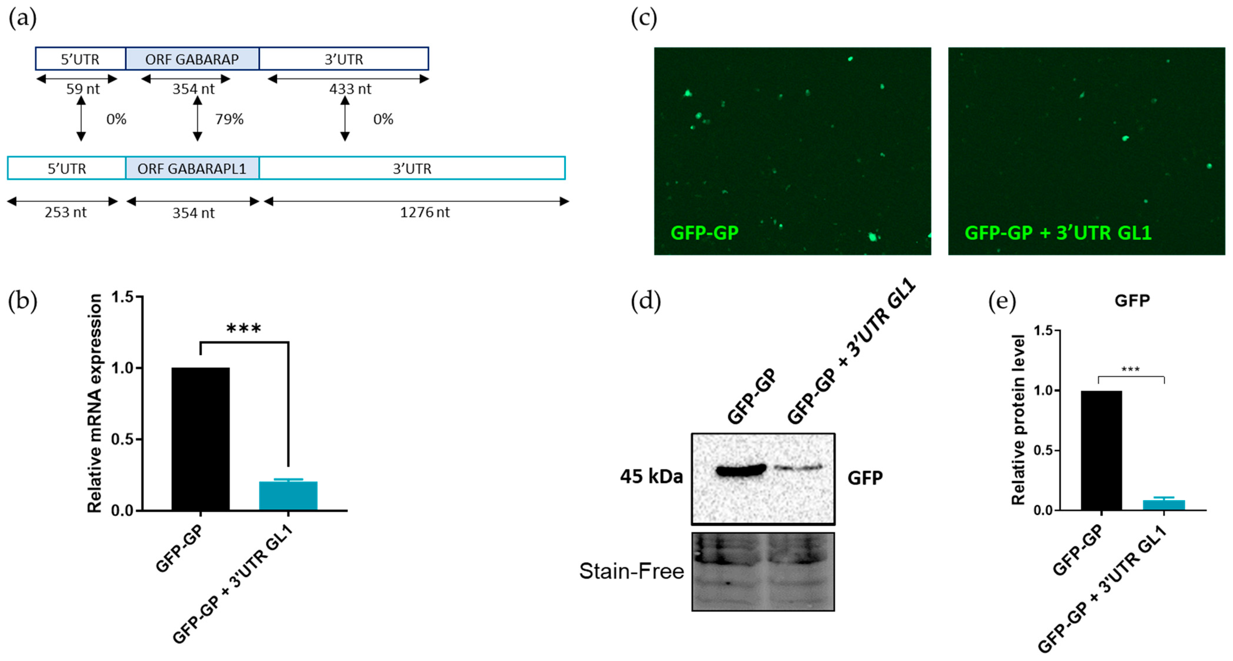 Biomedicines 09 01302 g006