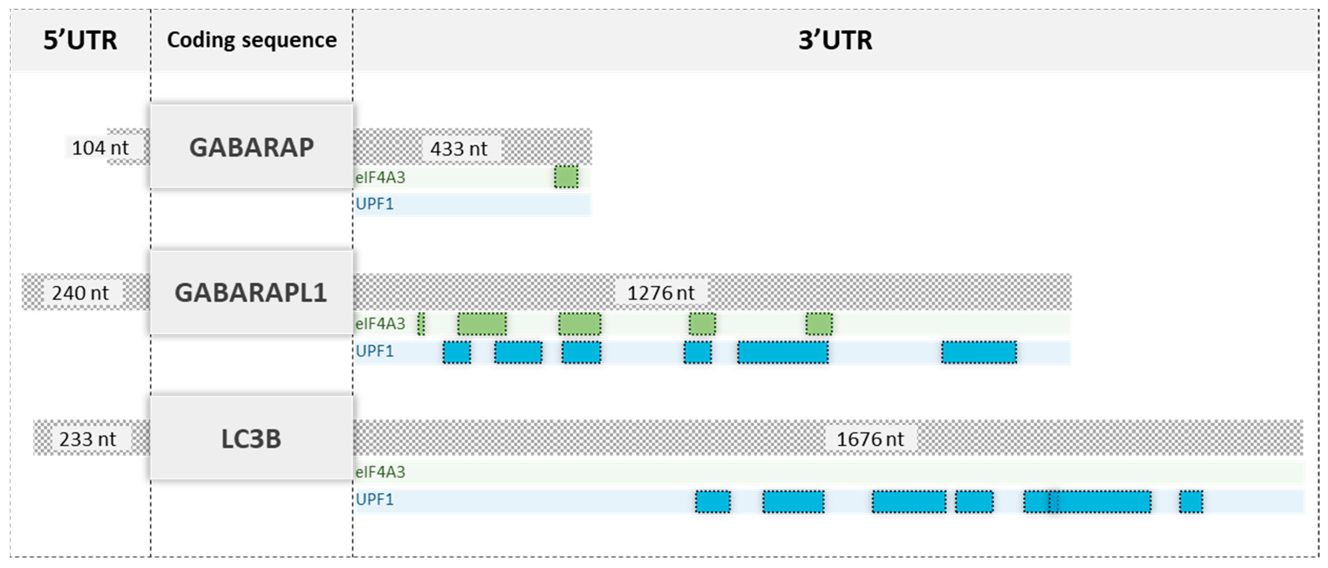 Biomedicines 09 01302 g007