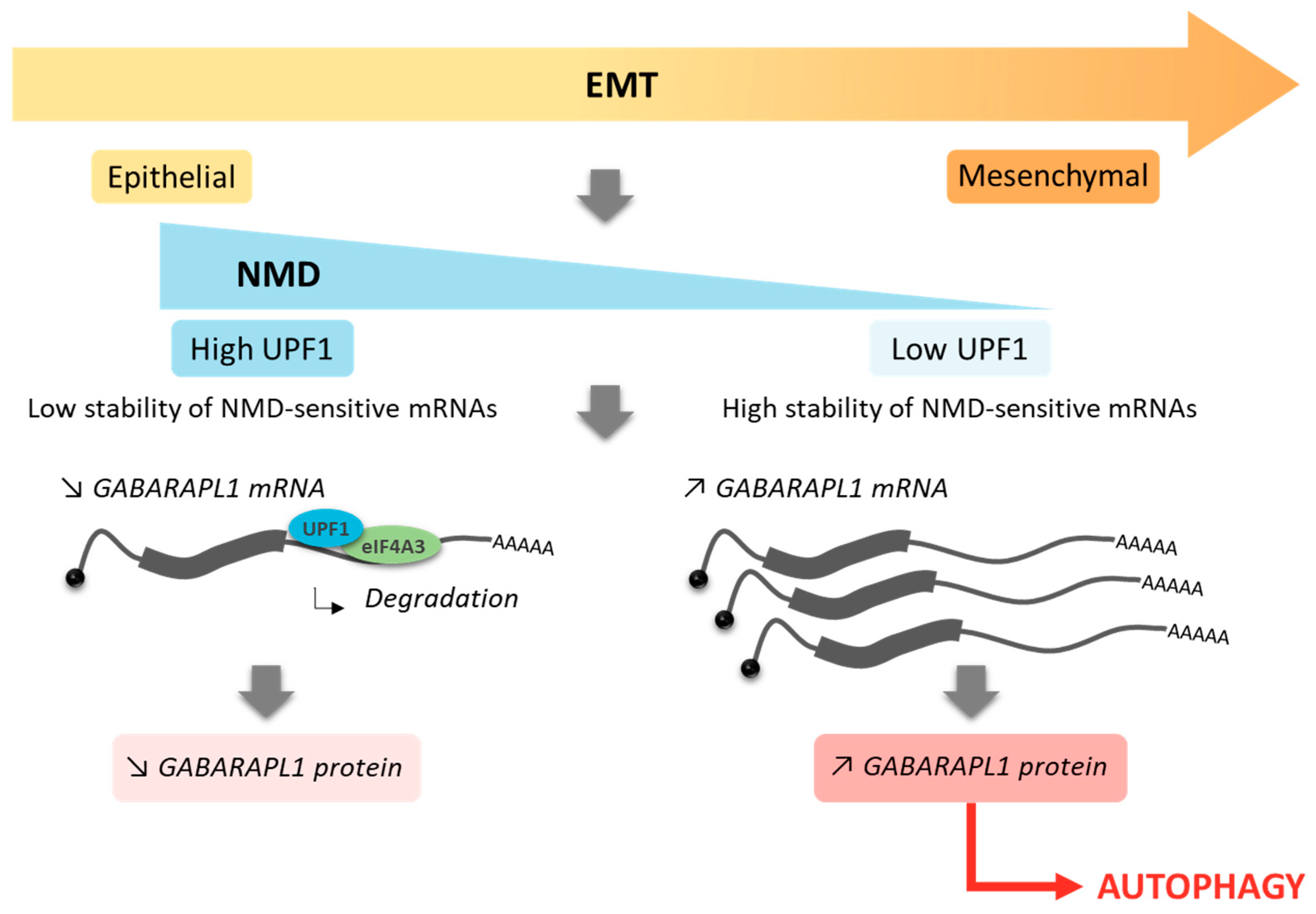 Biomedicines 09 01302 sch001