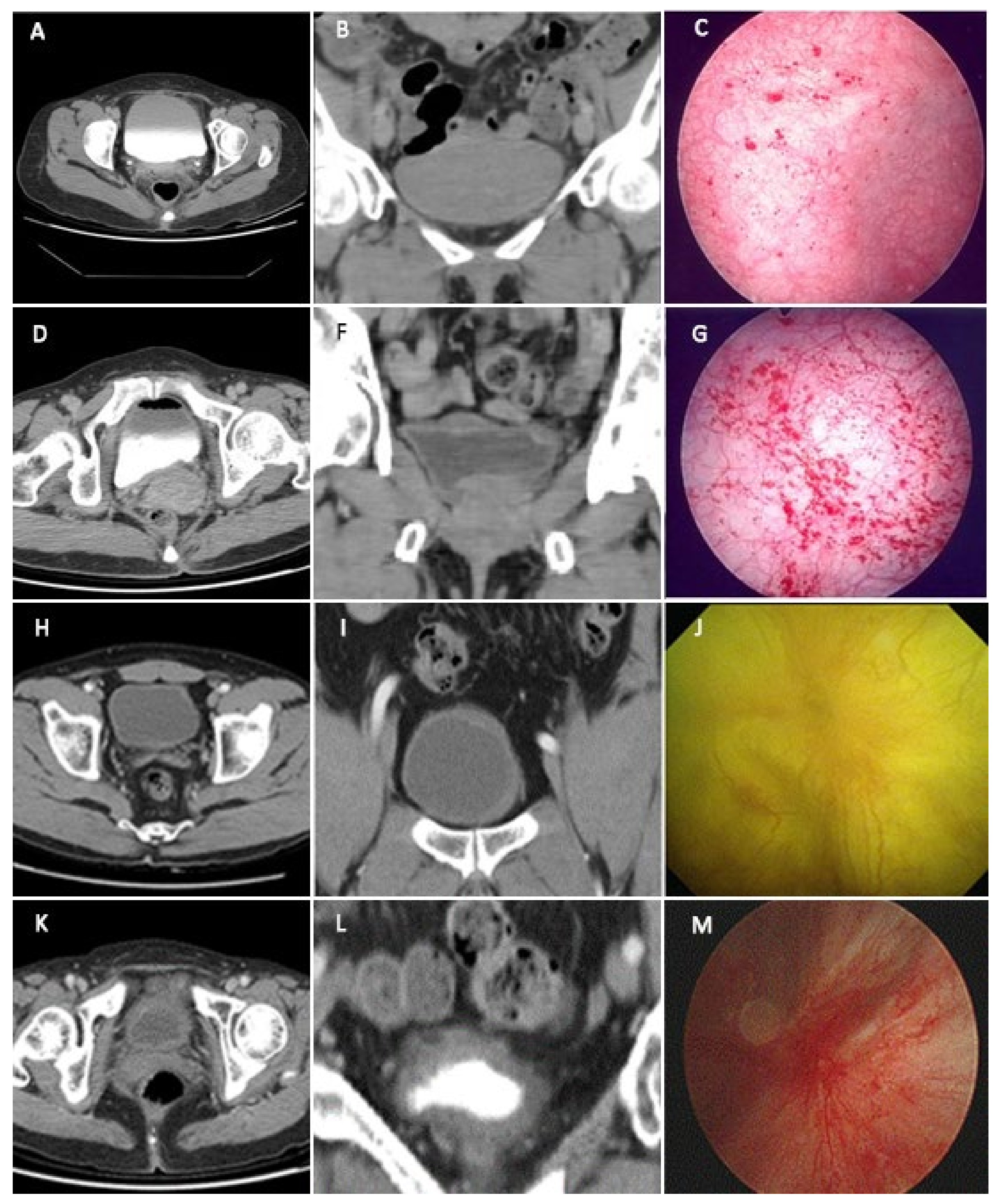Biomedicines 09 01306 g002