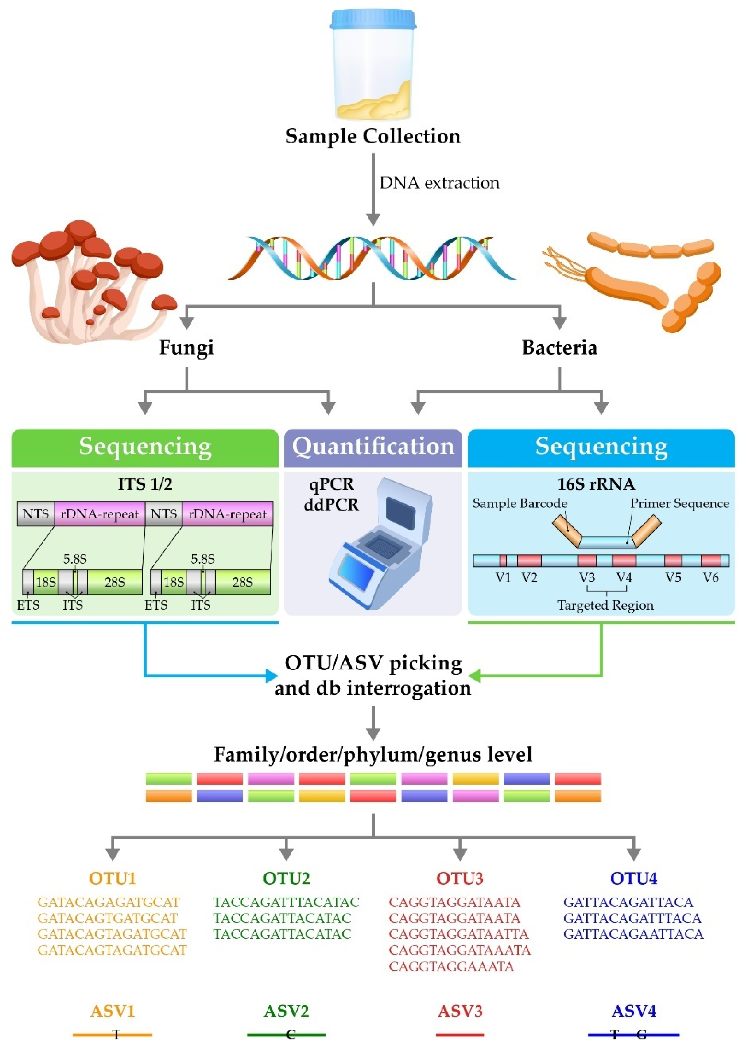 Biomedicines 09 01312 g001 550