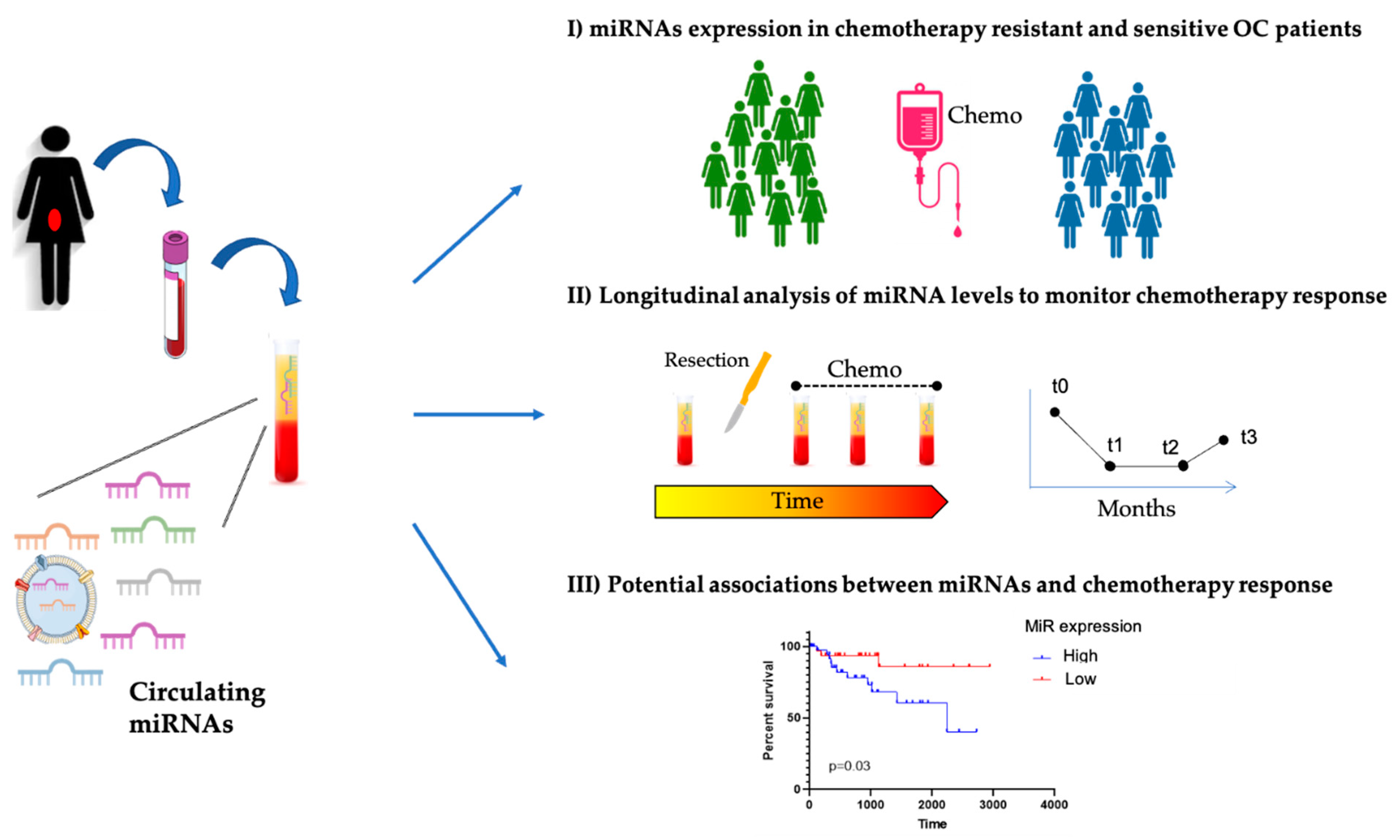 Biomedicines 09 01316 g002