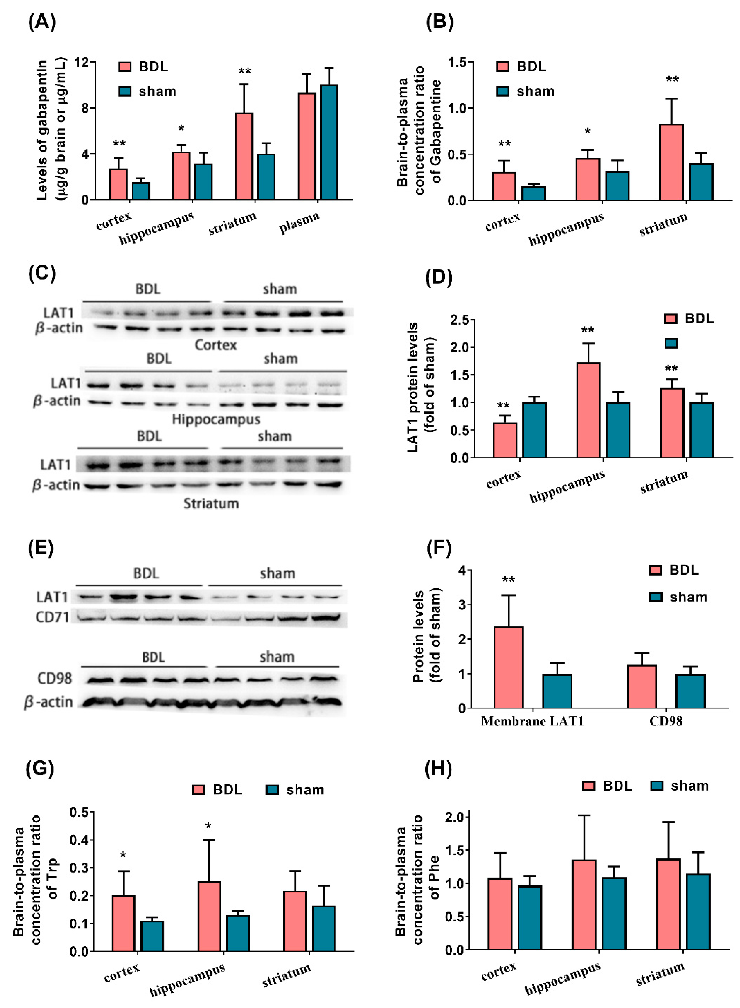 Biomedicines 09 01320 g001