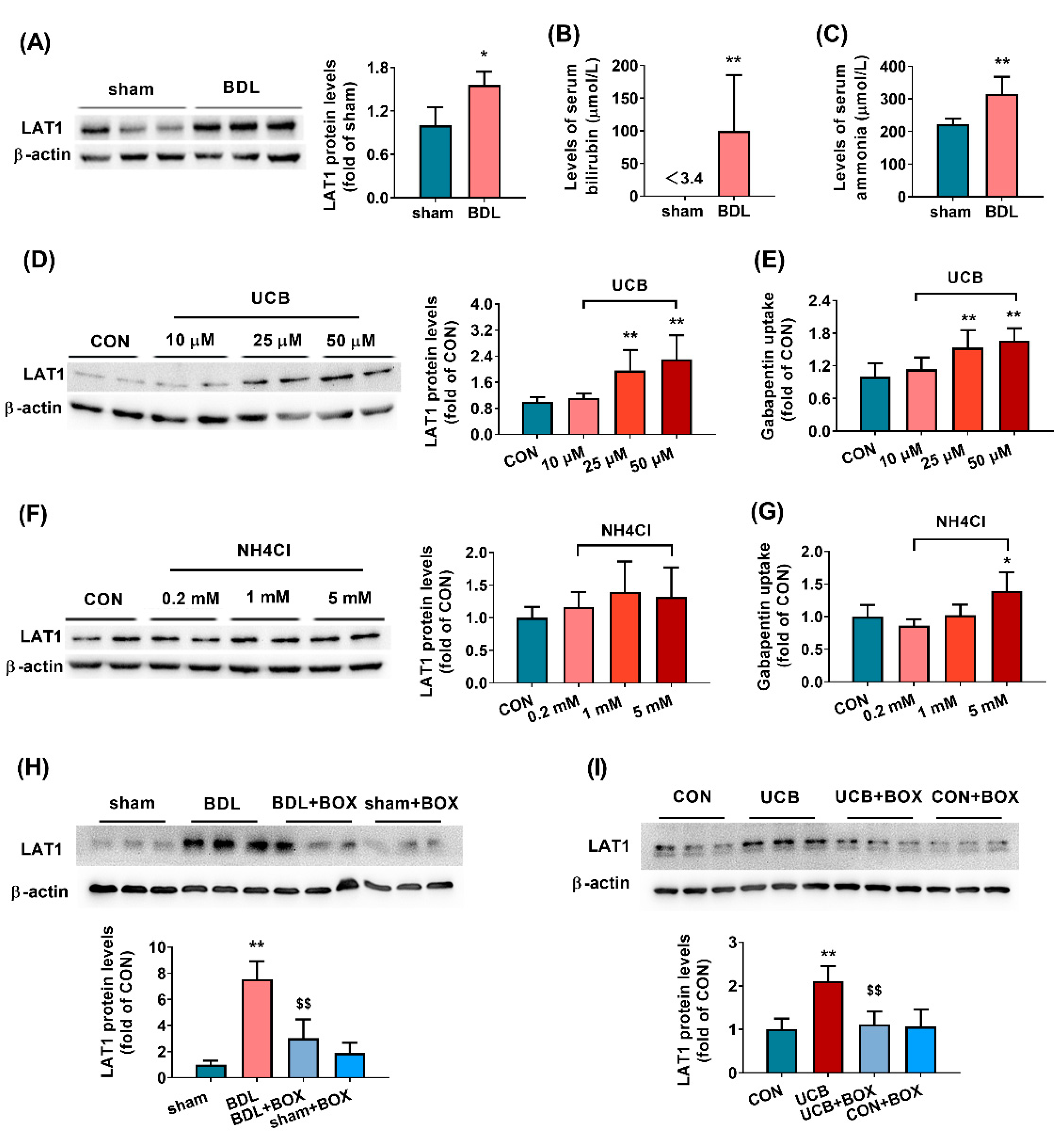 Biomedicines 09 01320 g002