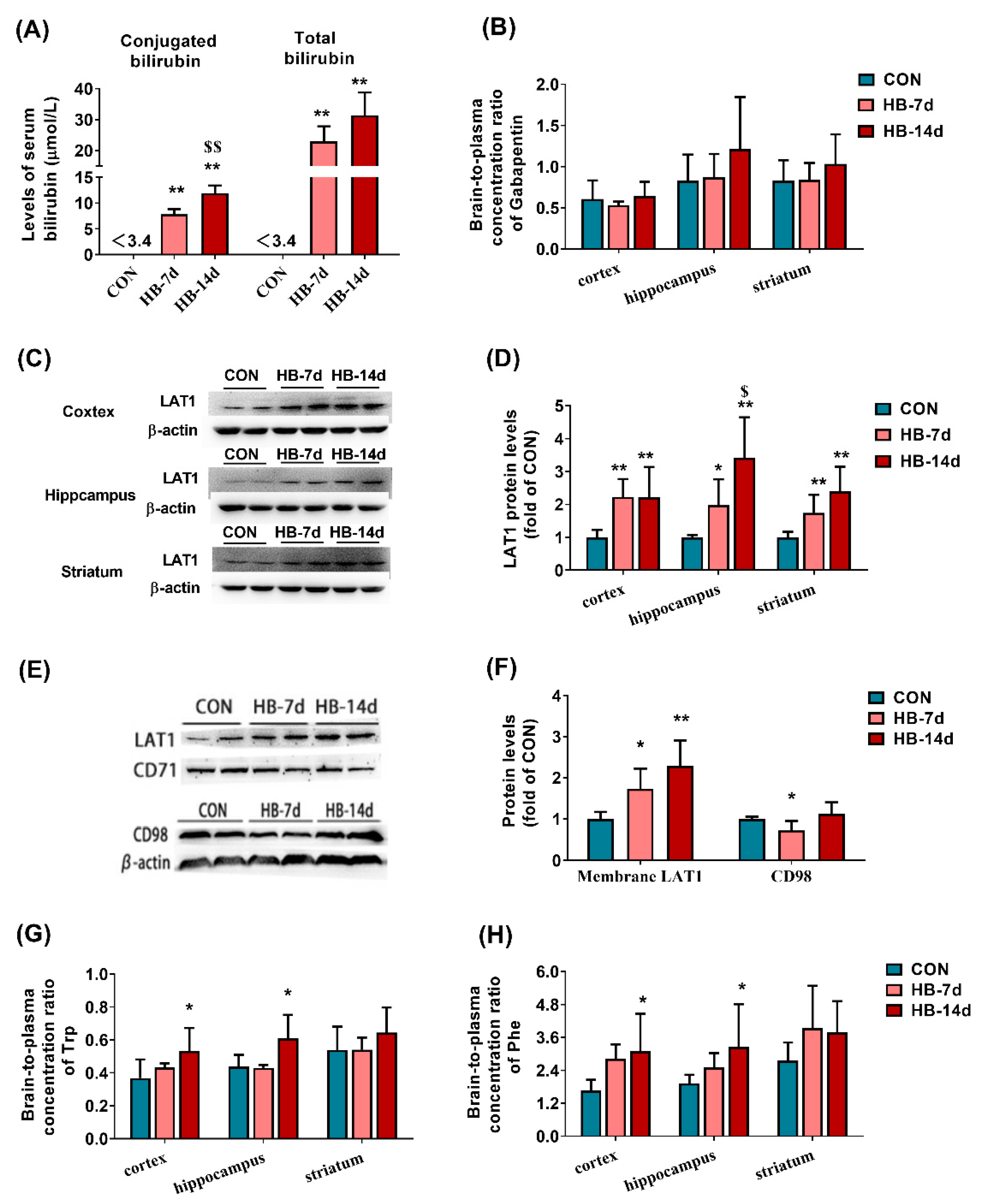 Biomedicines 09 01320 g004