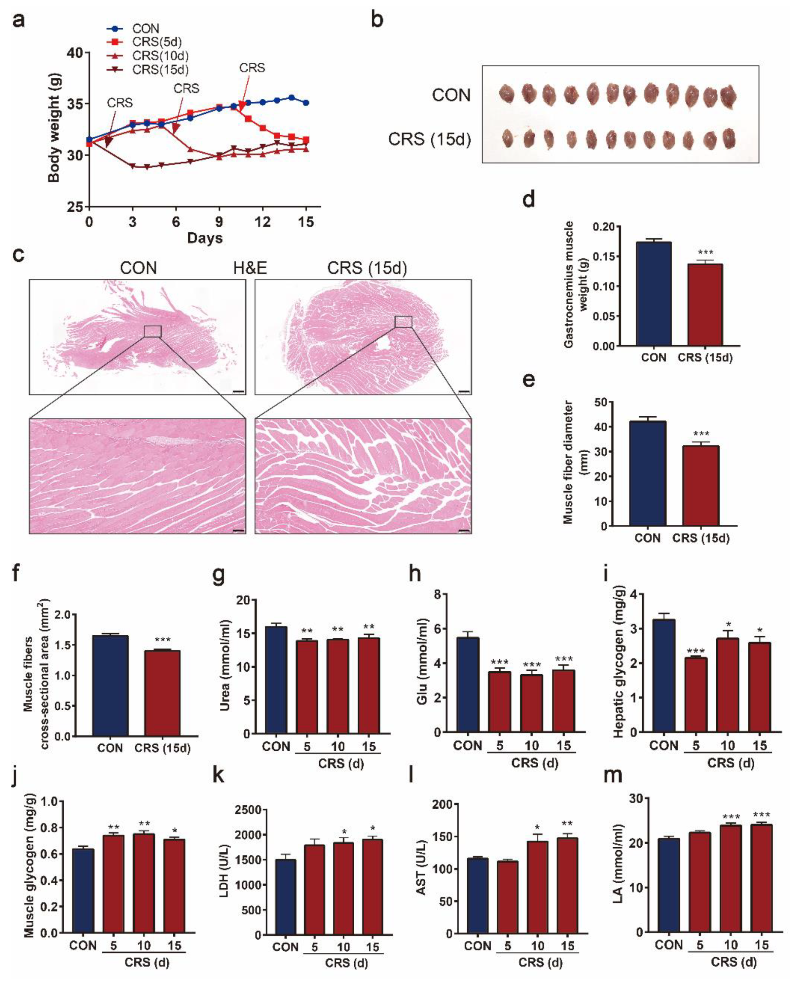 Biomedicines 09 01321 g003 550