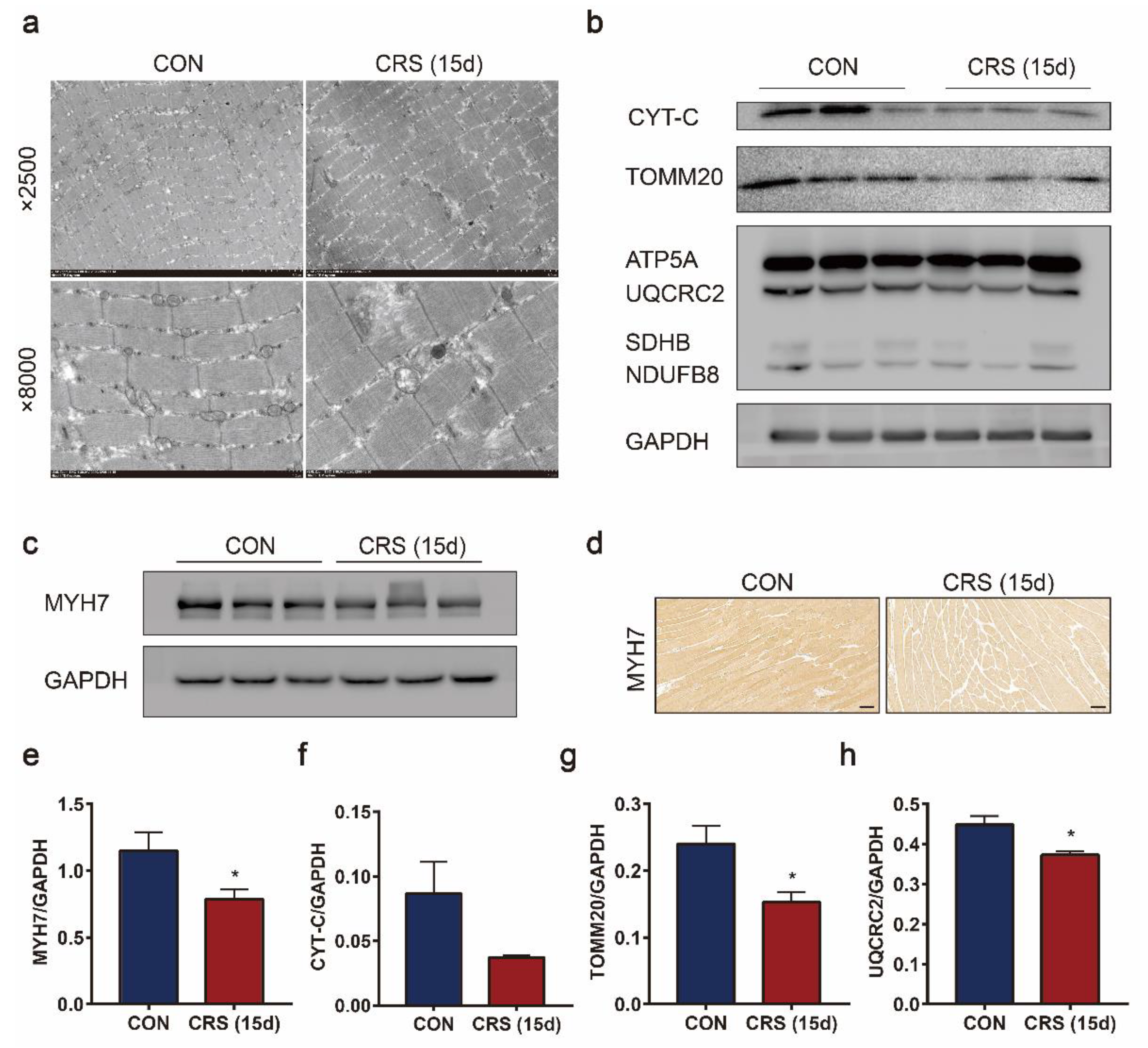 Biomedicines 09 01321 g005 550