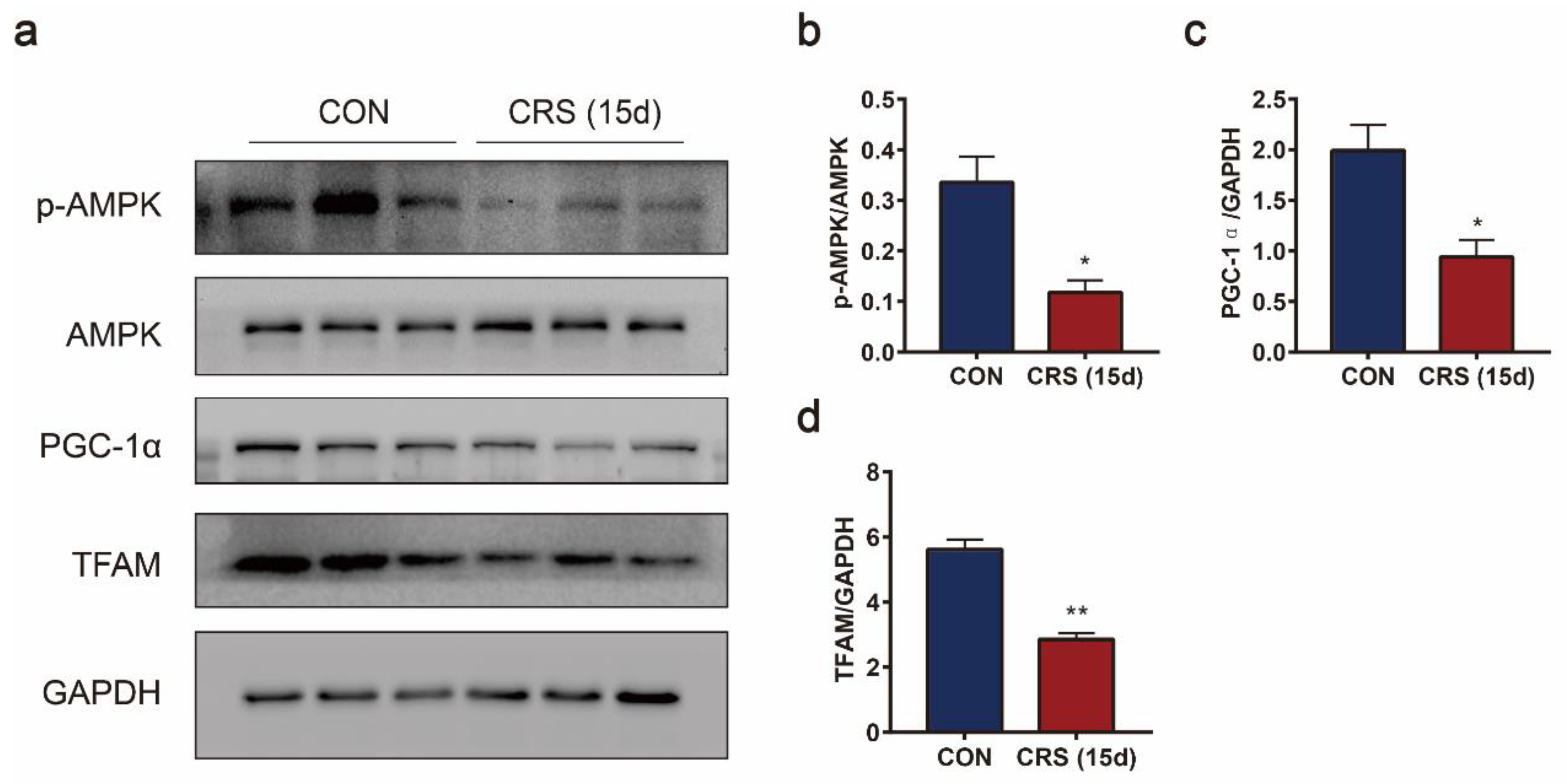 Biomedicines 09 01321 g006 550