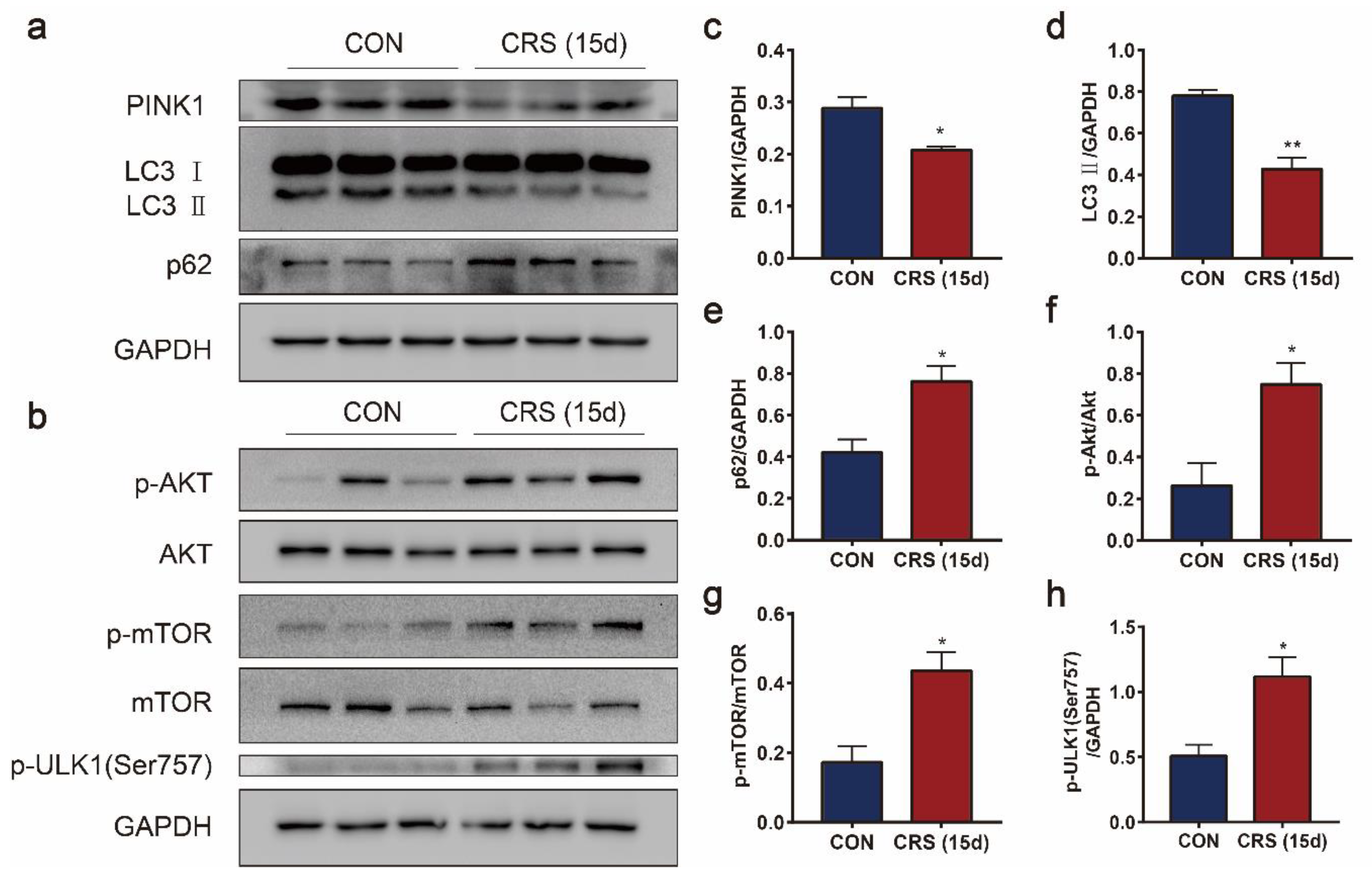 Biomedicines 09 01321 g007 550