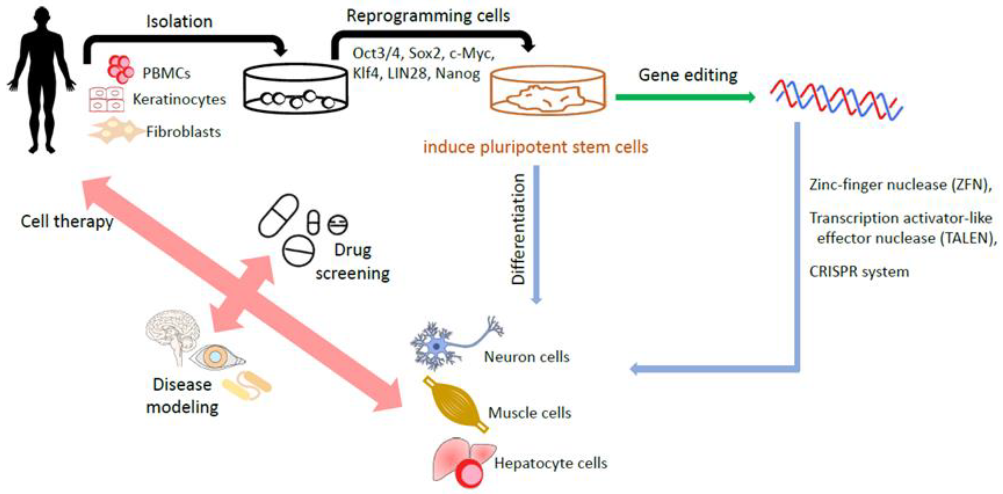 Biomedicines 09 01323 g002