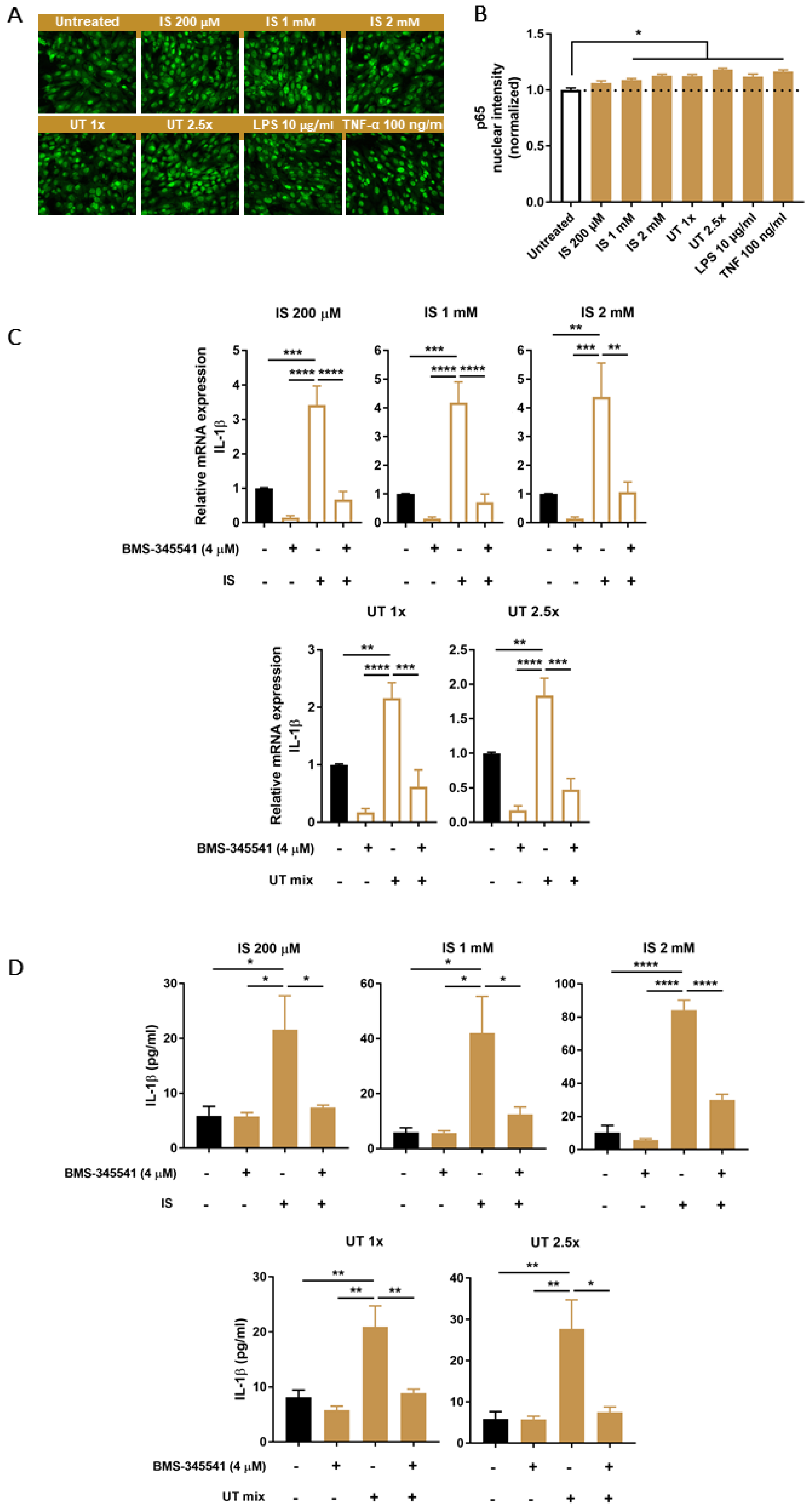 Biomedicines 09 01326 g005 550