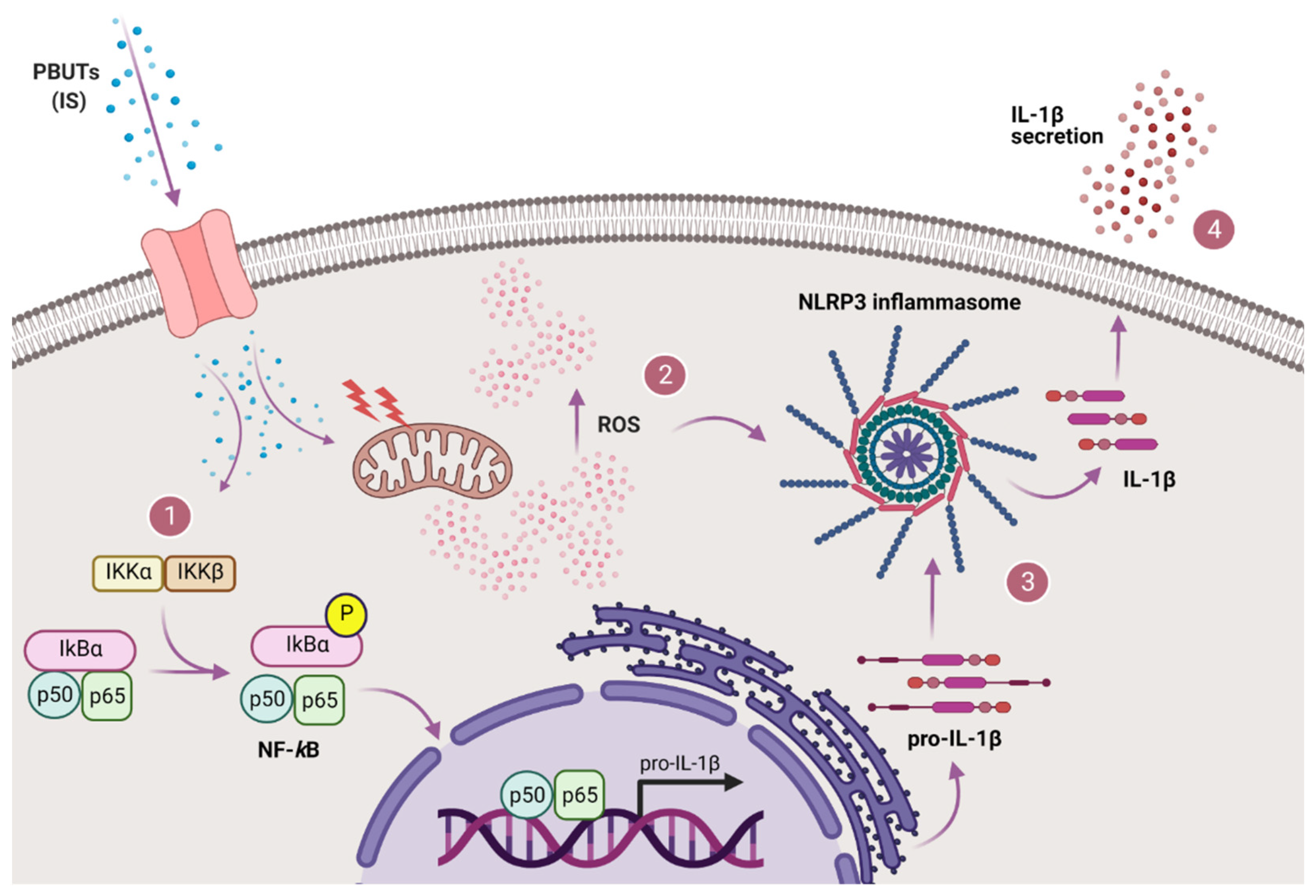 Biomedicines 09 01326 g008 550
